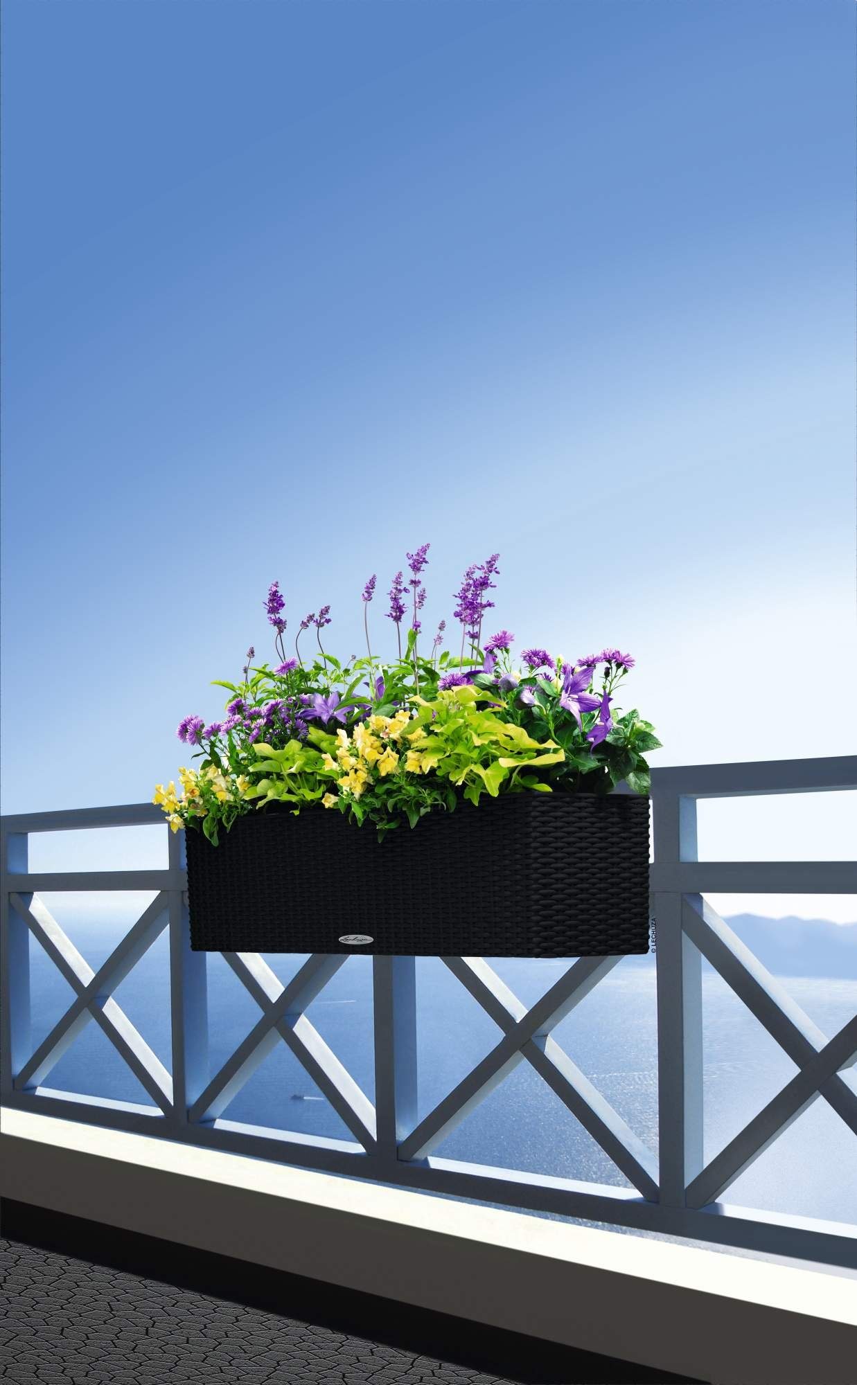 Lechuza® Balkonkasten Balconera Cottage 80 graphitschwarz günstig online kaufen