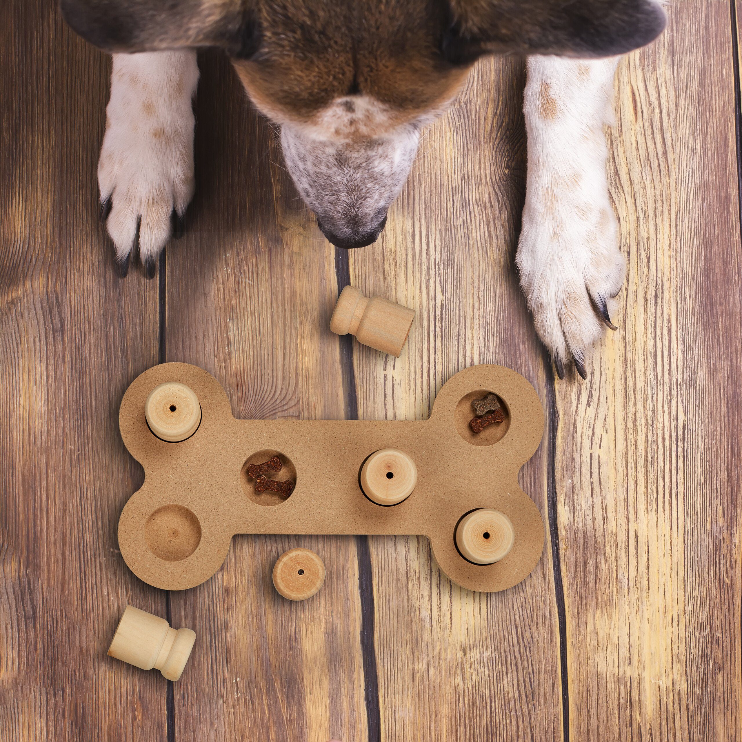 relaxdays Tier-Intelligenzspielzeug Intelligenzspielzeug für Hunde, Faserpl günstig online kaufen