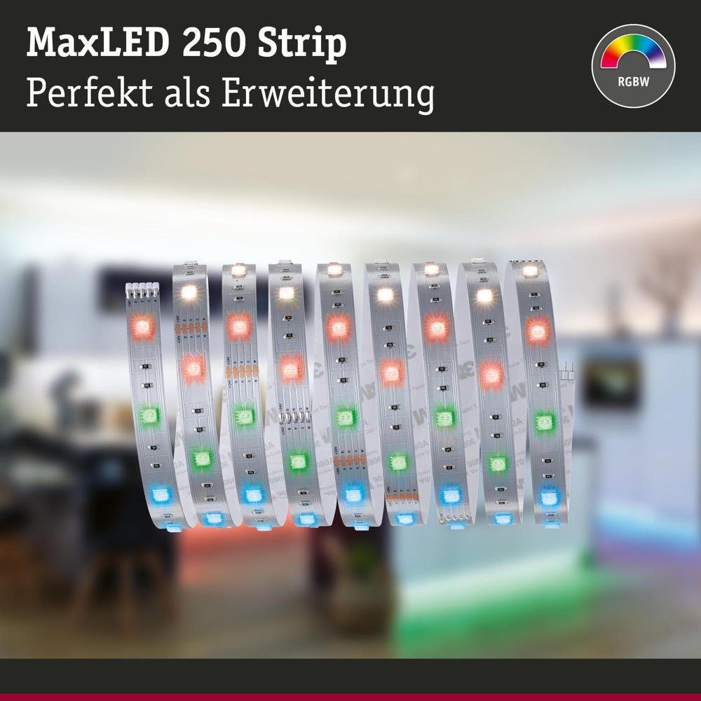 MaxLED 2500mm, RGBW LED Paulmann Streifen 17W Stripe LED 675lm 1-flammig, in Strip LED Silber