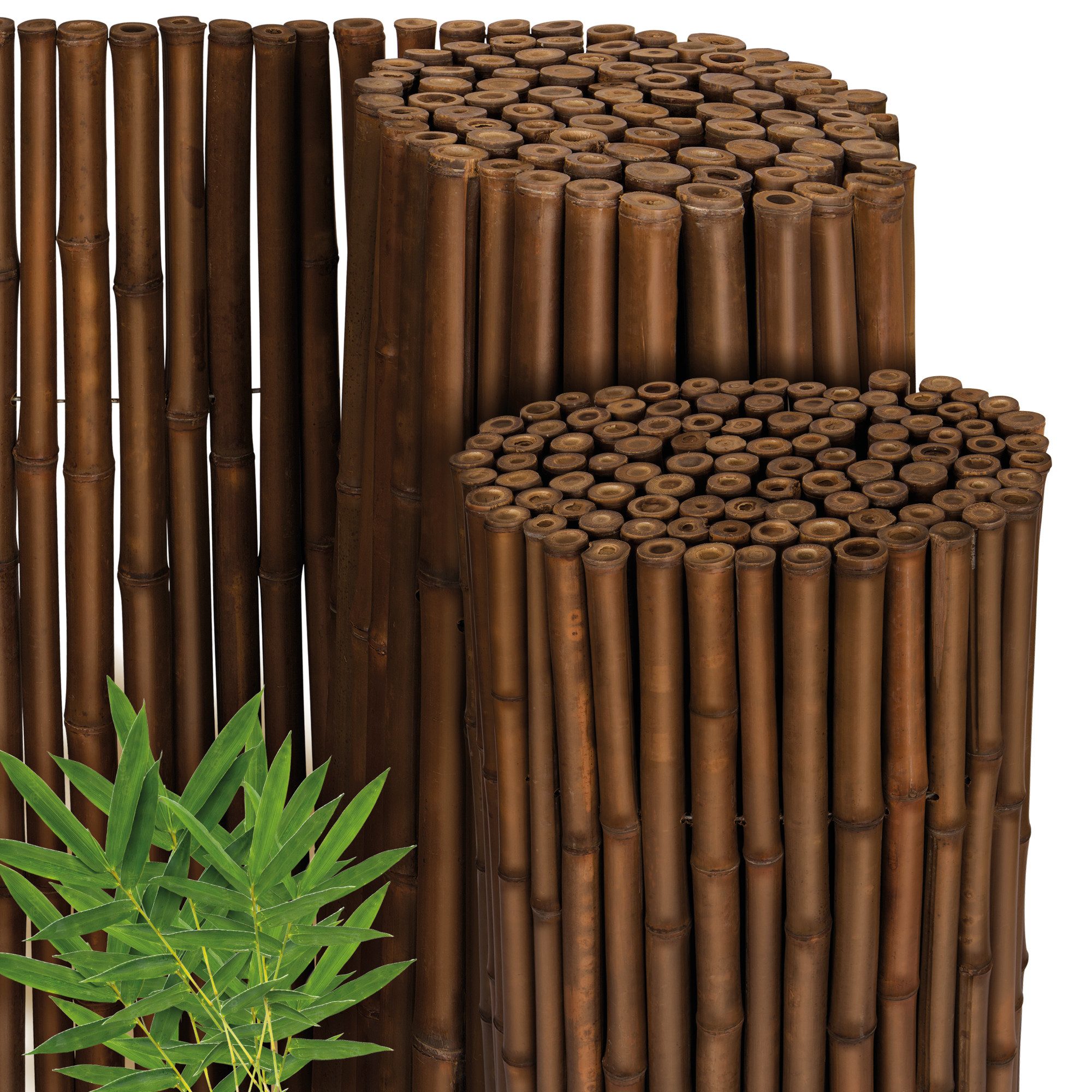 Sol Royal Balkonsichtschutz (1-St) einfache Montage, verhindert Nässetau und Frostschäden