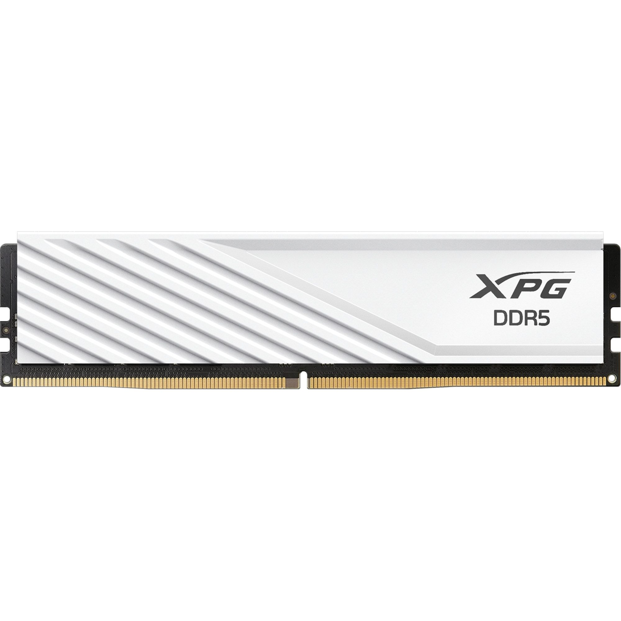 ADATA DIMM 32 GB DDR5-6000, Arbeitsspeicher Arbeitsspeicher