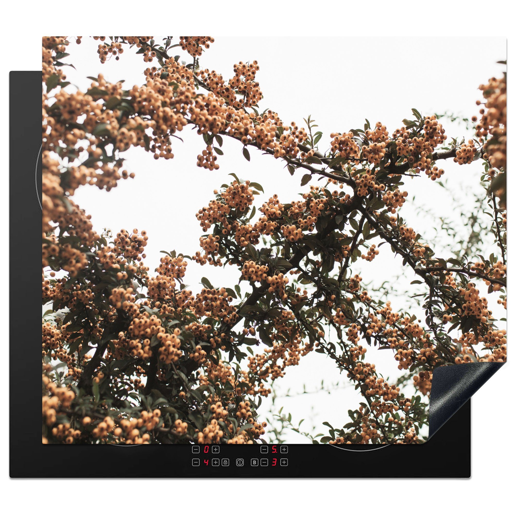 MuchoWow Herdblende-/Abdeckplatte Natur - Herbst - Beeren - Busch, Vinyl, (1 tlg), 60x52 cm, Mobile Arbeitsfläche nutzbar, Ceranfeldabdeckung