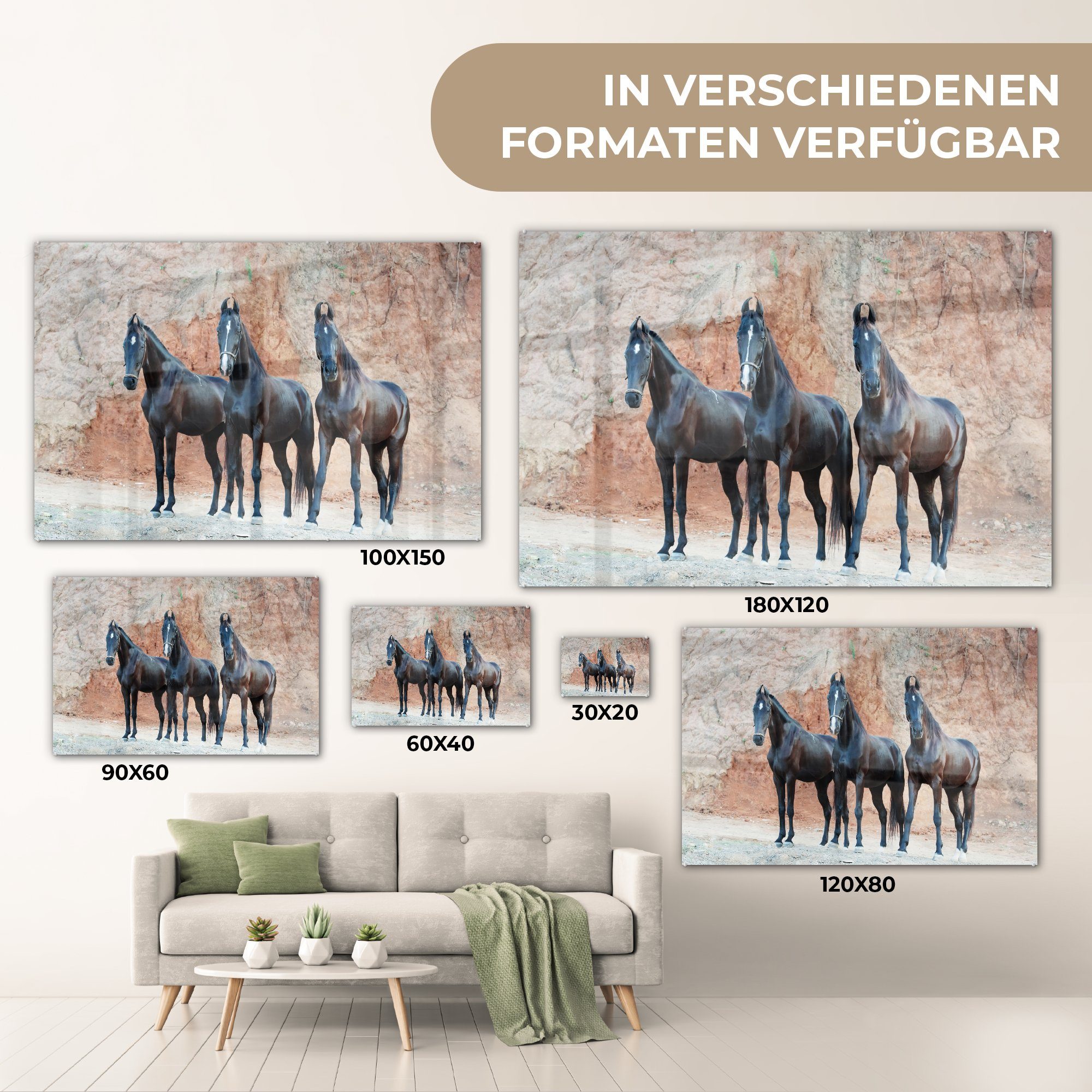 Acrylglasbilder (1 Felsen, Marwari Acrylglasbild Schlafzimmer St), & - Pferde Wohnzimmer - MuchoWow