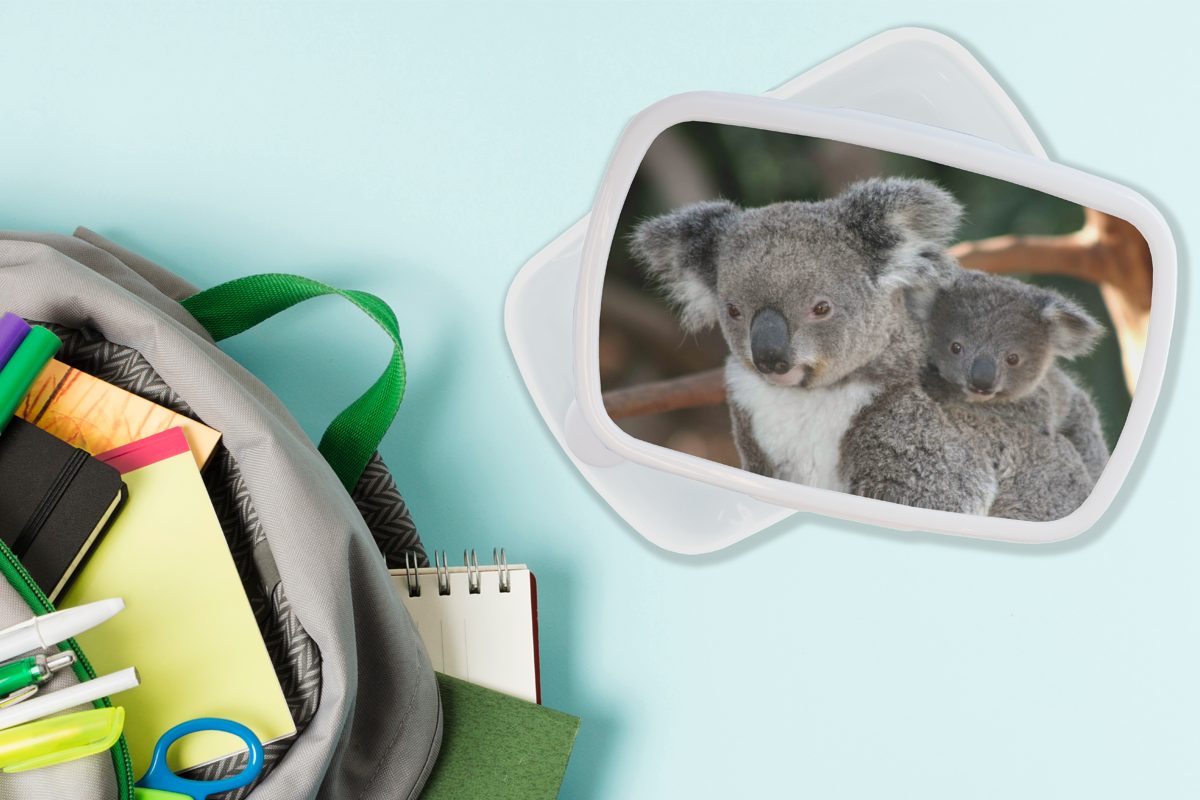 Erwachsene, und Jungen weiß Mädchen, Lunchbox für MuchoWow - Brotbox Jungs Vater - Kunststoff, Koalas für Kinder (2-tlg), und - - Sohn Mädchen Brotdose,