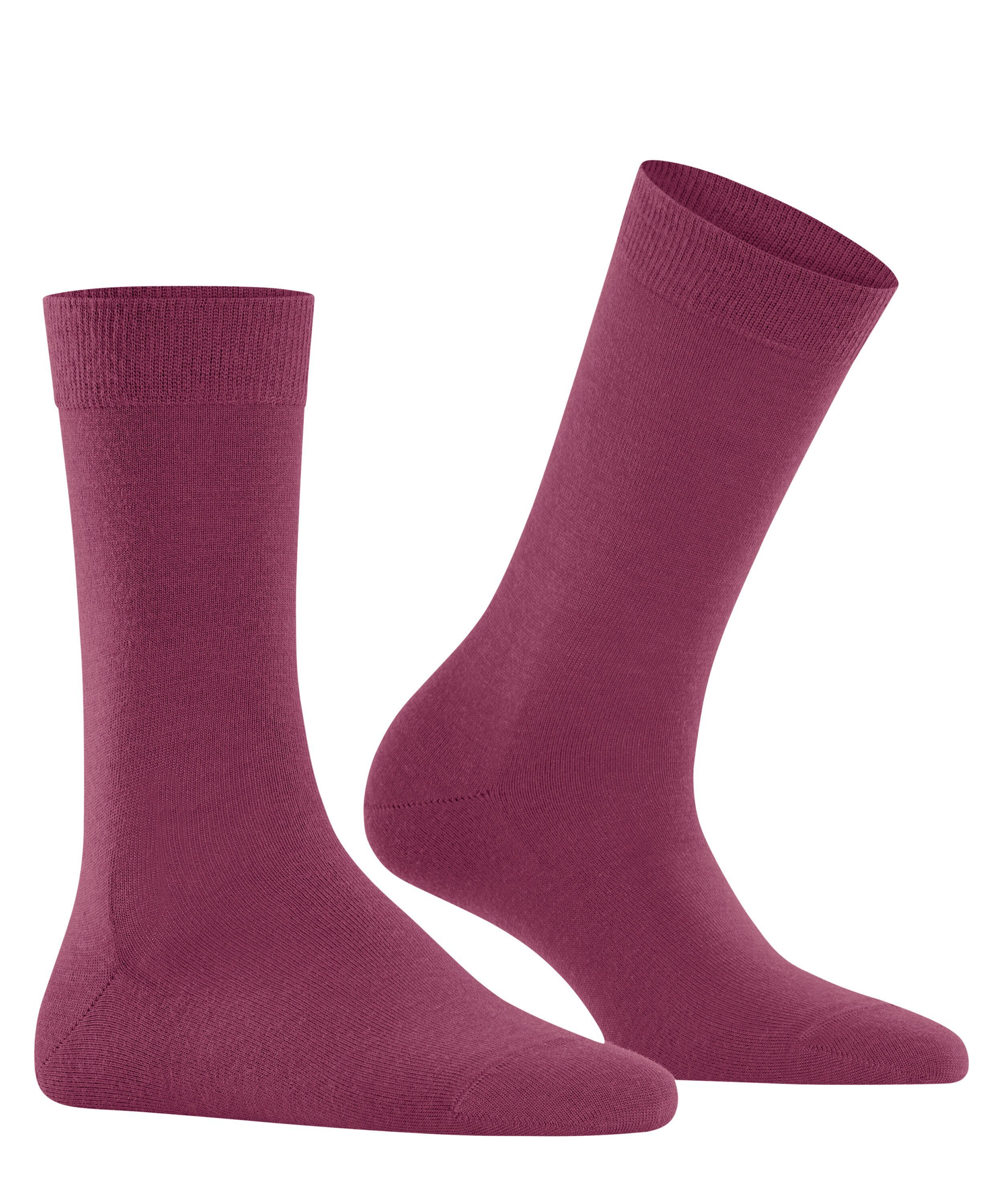 plum Socken FALKE Softmerino red (8236) (1-Paar)