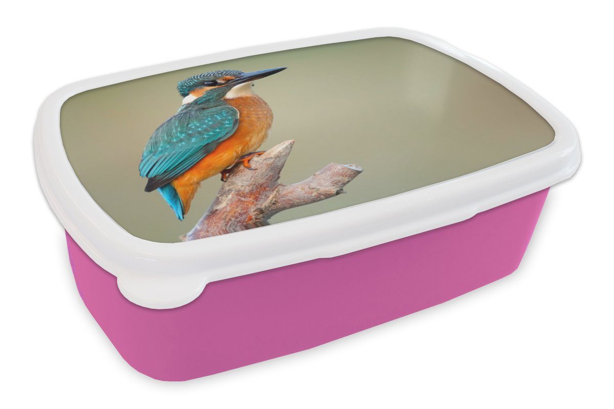 MuchoWow Lunchbox Vogel - Eisvogel - Zweig, Kunststoff, (2-tlg), Brotbox für Erwachsene, Brotdose Kinder, Snackbox, Mädchen, Kunststoff rosa | Lunchboxen