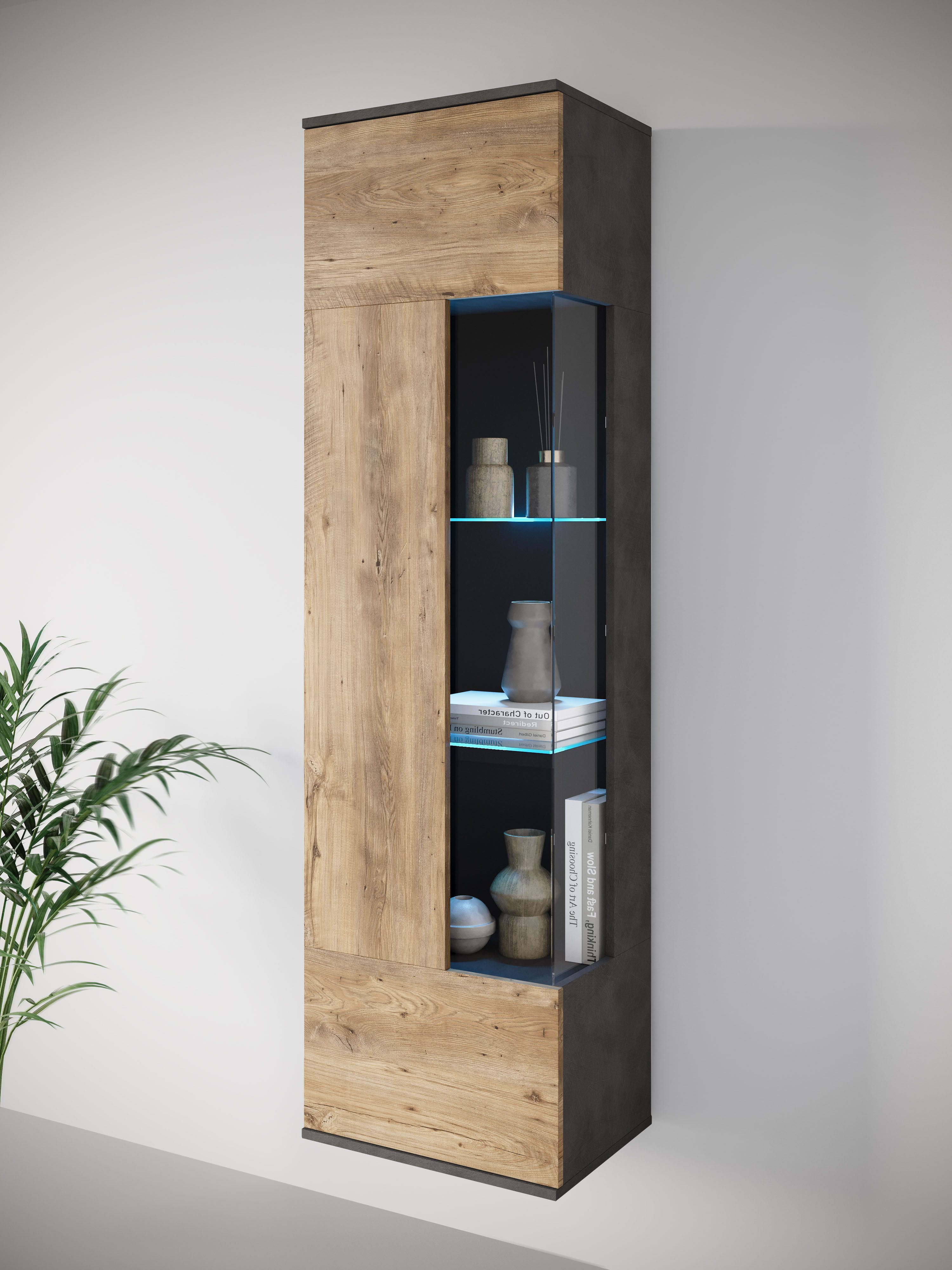 INOSIGN Vitrine Kenia, stehend und hängend, Türanschlag wechselbar (1-St) V günstig online kaufen