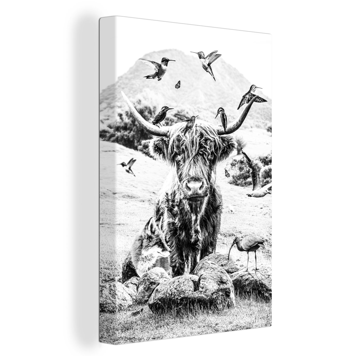 OneMillionCanvasses® Leinwandbild Schottischer Highlander - Tiere - Berg, (1 St), Leinwandbild fertig bespannt inkl. Zackenaufhänger, Gemälde, 20x30 cm