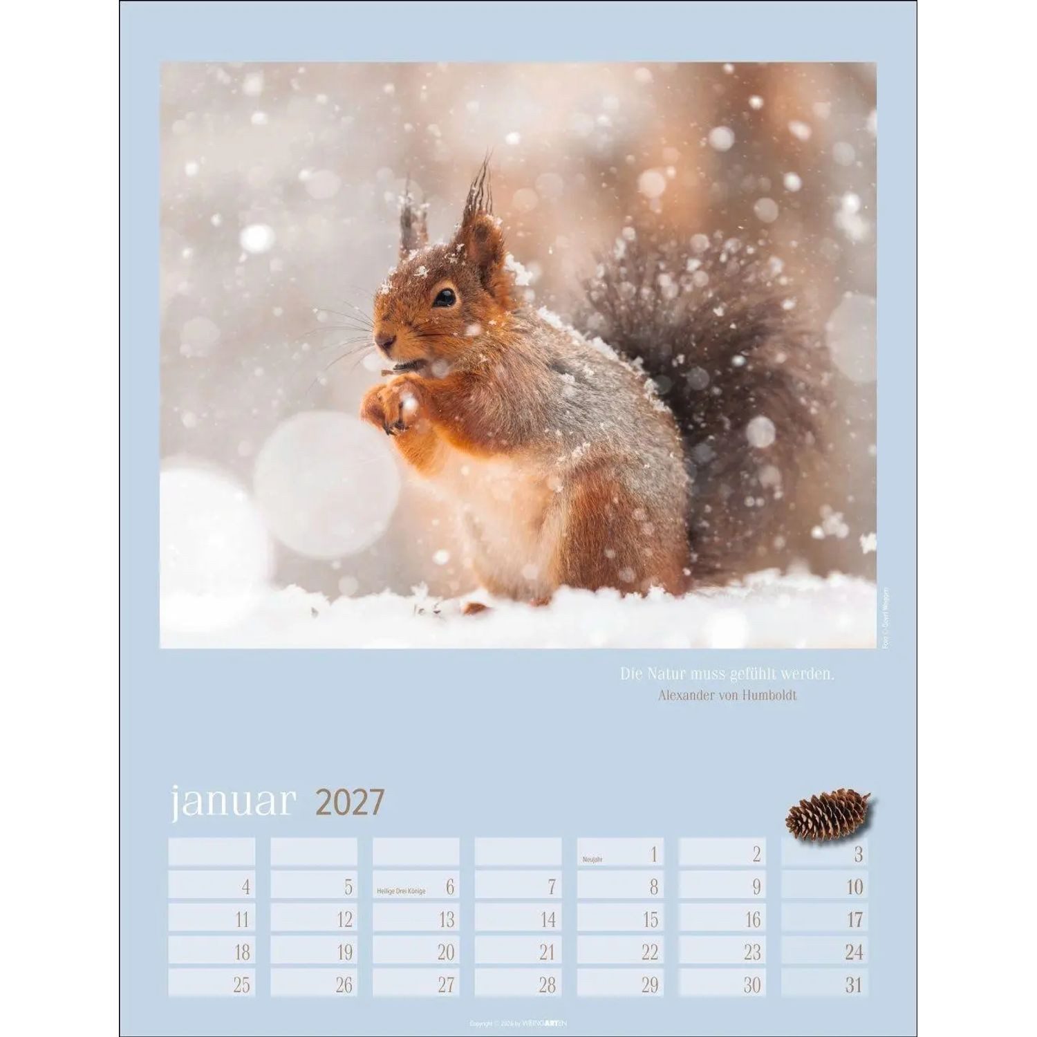 Wandkalender Eichhörnchen Kalender 2027