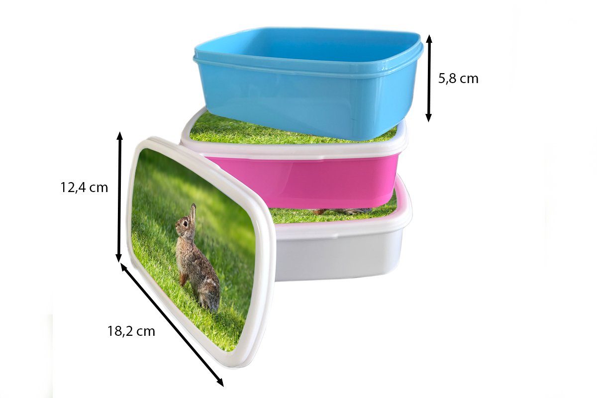 Tier, Mädchen weiß Brotdose, Jungs Gras Lunchbox Kinder (2-tlg), - und MuchoWow Kaninchen und für für - Erwachsene, Brotbox Kunststoff,