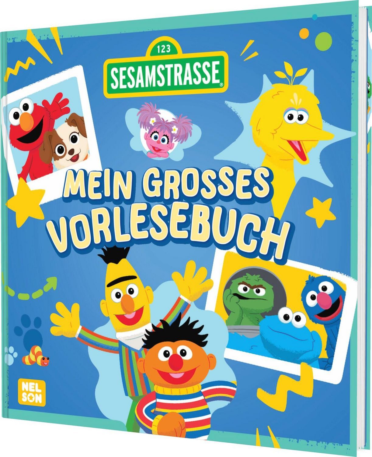 Sesamstraße: Mein großes Vorlesebuch / diverse
