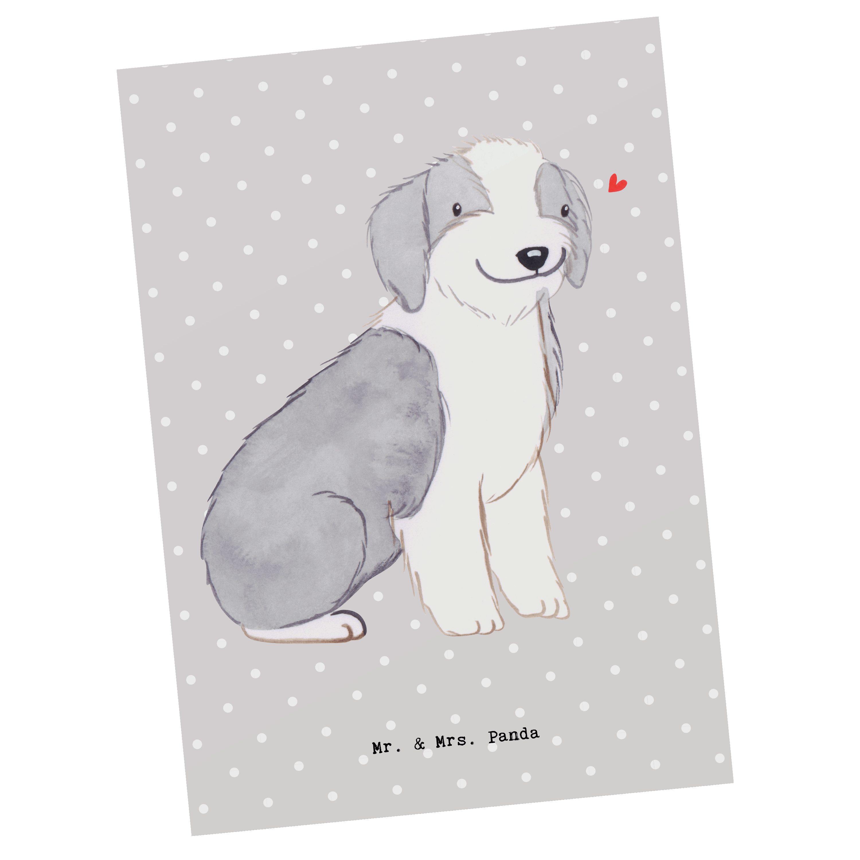 Mr. & Mrs. Panda Postkarte Bearded Collie Lebensretter - Grau Pastell - Geschenk, Geschenkkarte
