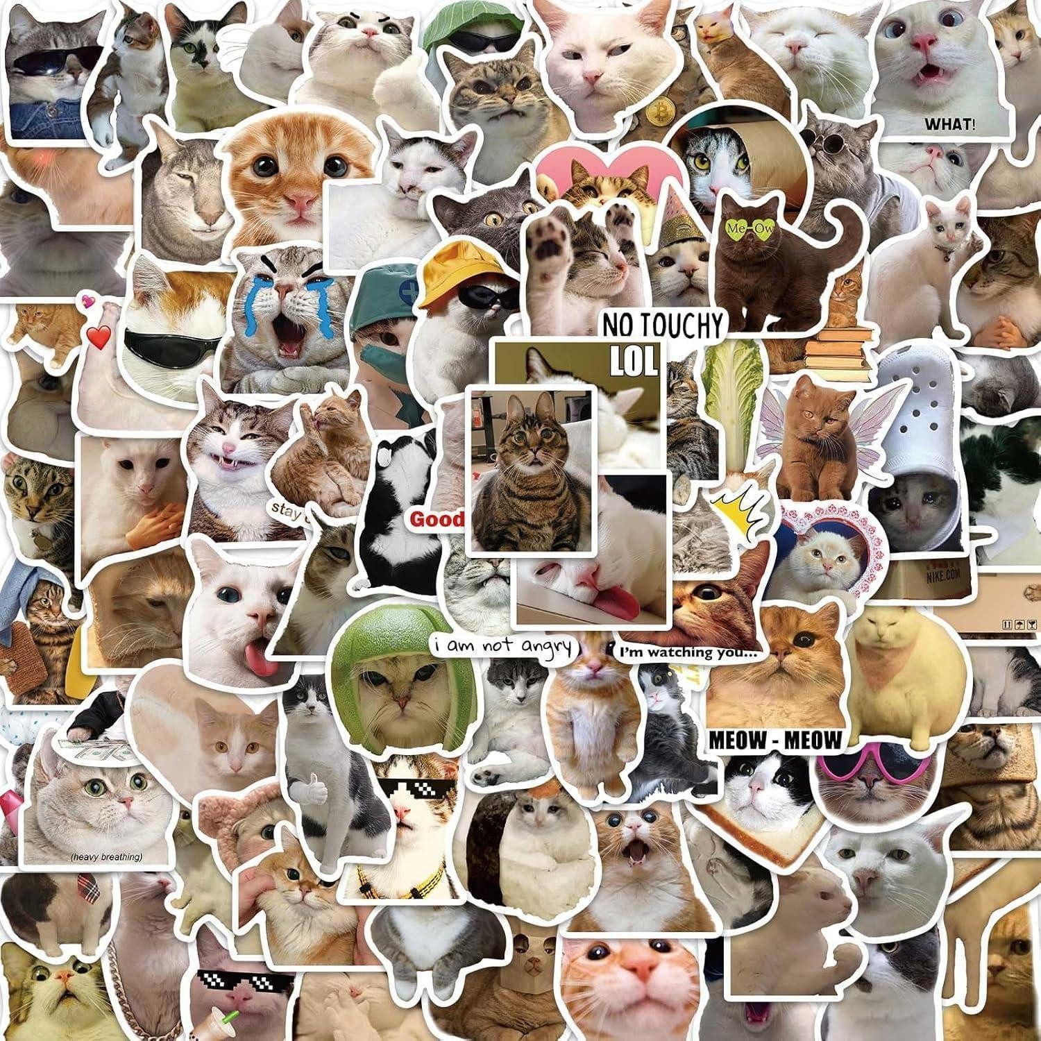LuxusKollektion Aufkleber Sticker 100er Cat Meme Vinyl Wasserfest Laptop Katzen Aufkleber