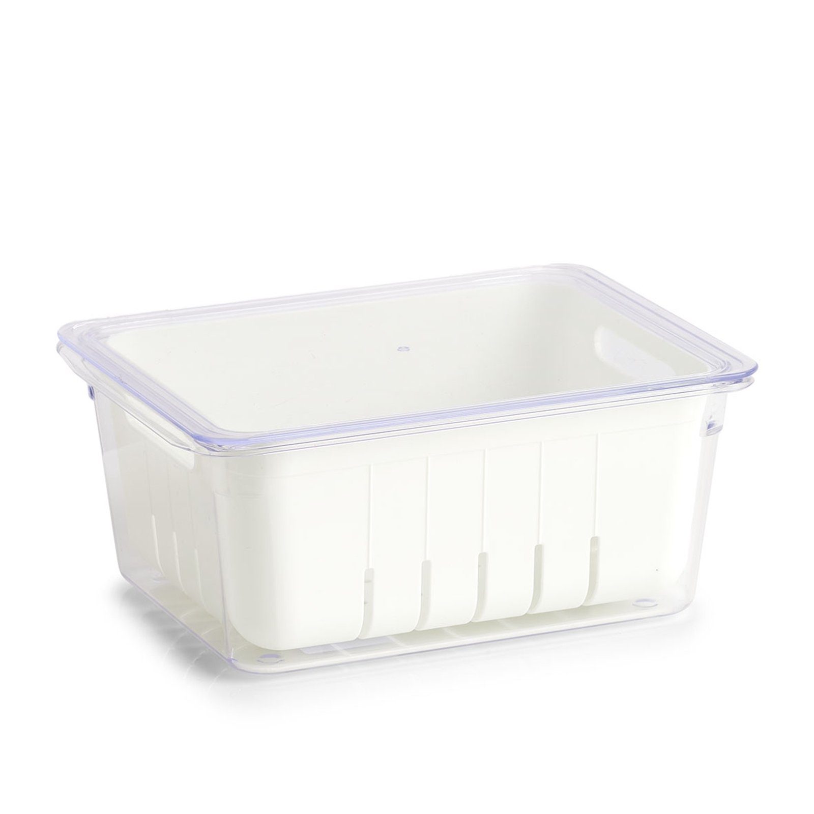 Zeller Present Frischhaltedose Kühlschrank-Box weiß Kunststoff
