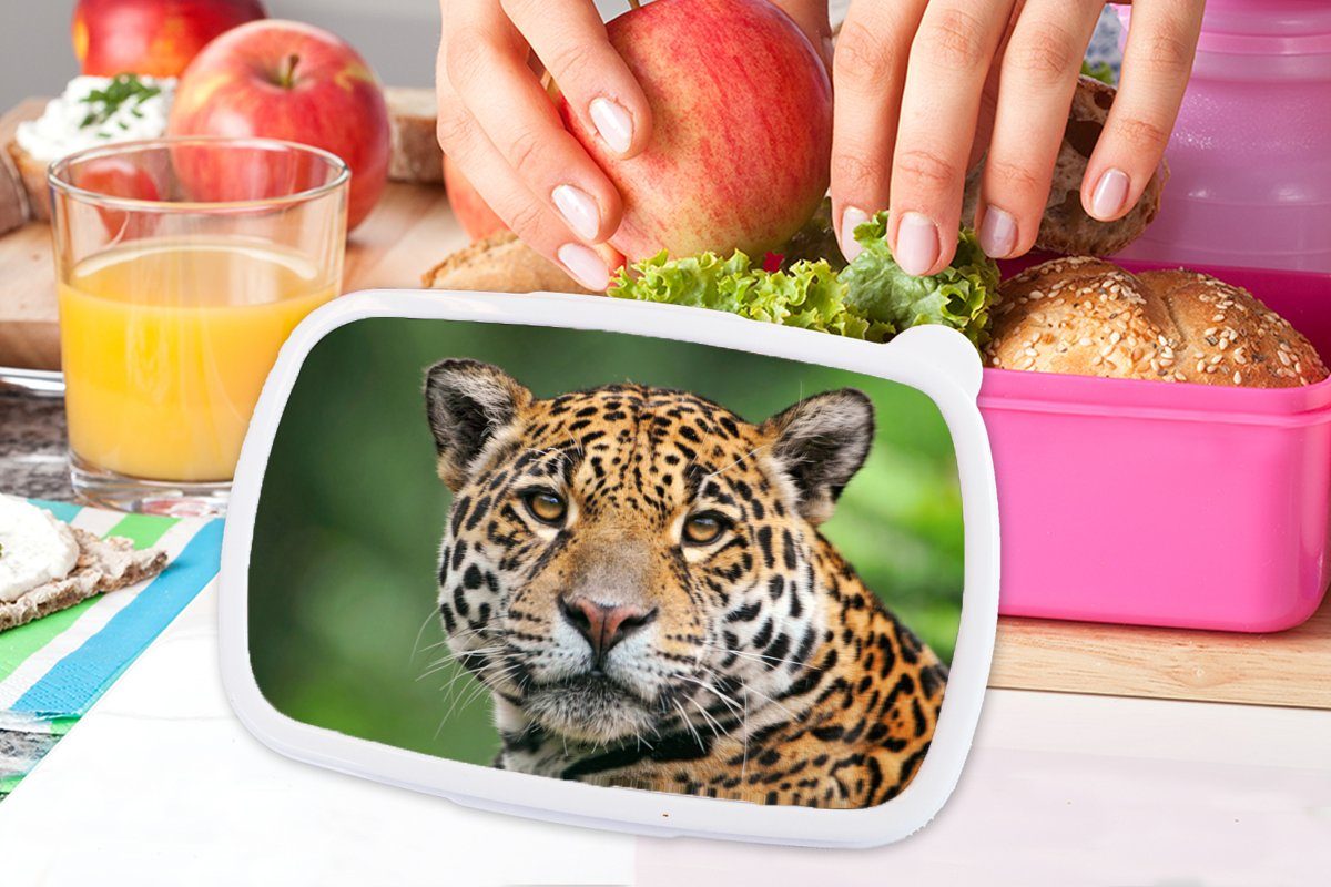 MuchoWow Kunststoff, Erwachsene, Brotdose Snackbox, rosa Lunchbox Brotbox - Kinder, (2-tlg), Natur Leopard Kunststoff Mädchen, Gefleckt, für -