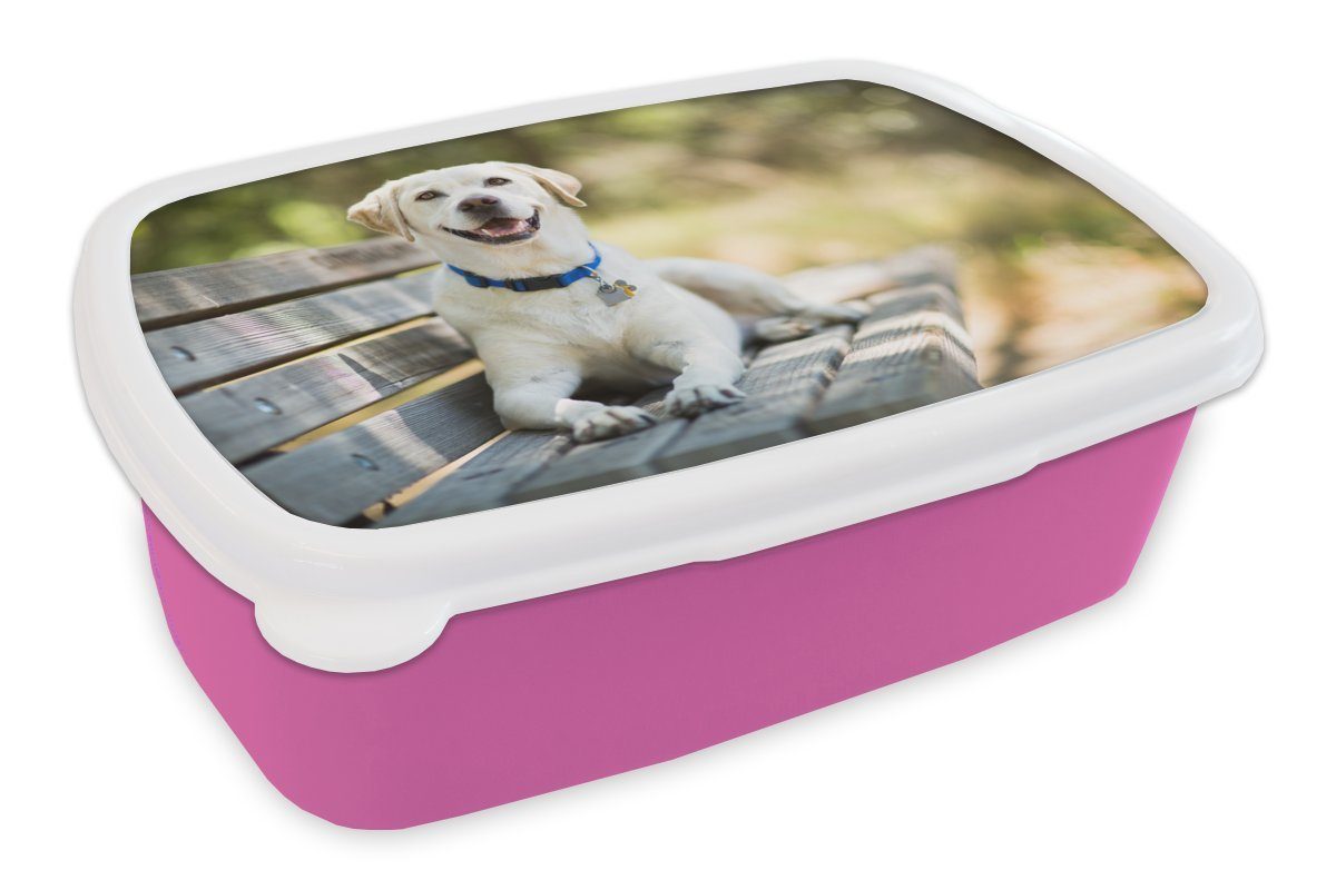 MuchoWow Lunchbox Labrador Retriever auf einer Bank, Kunststoff, (2-tlg), Brotbox für Erwachsene, Brotdose Kinder, Snackbox, Mädchen, Kunststoff rosa