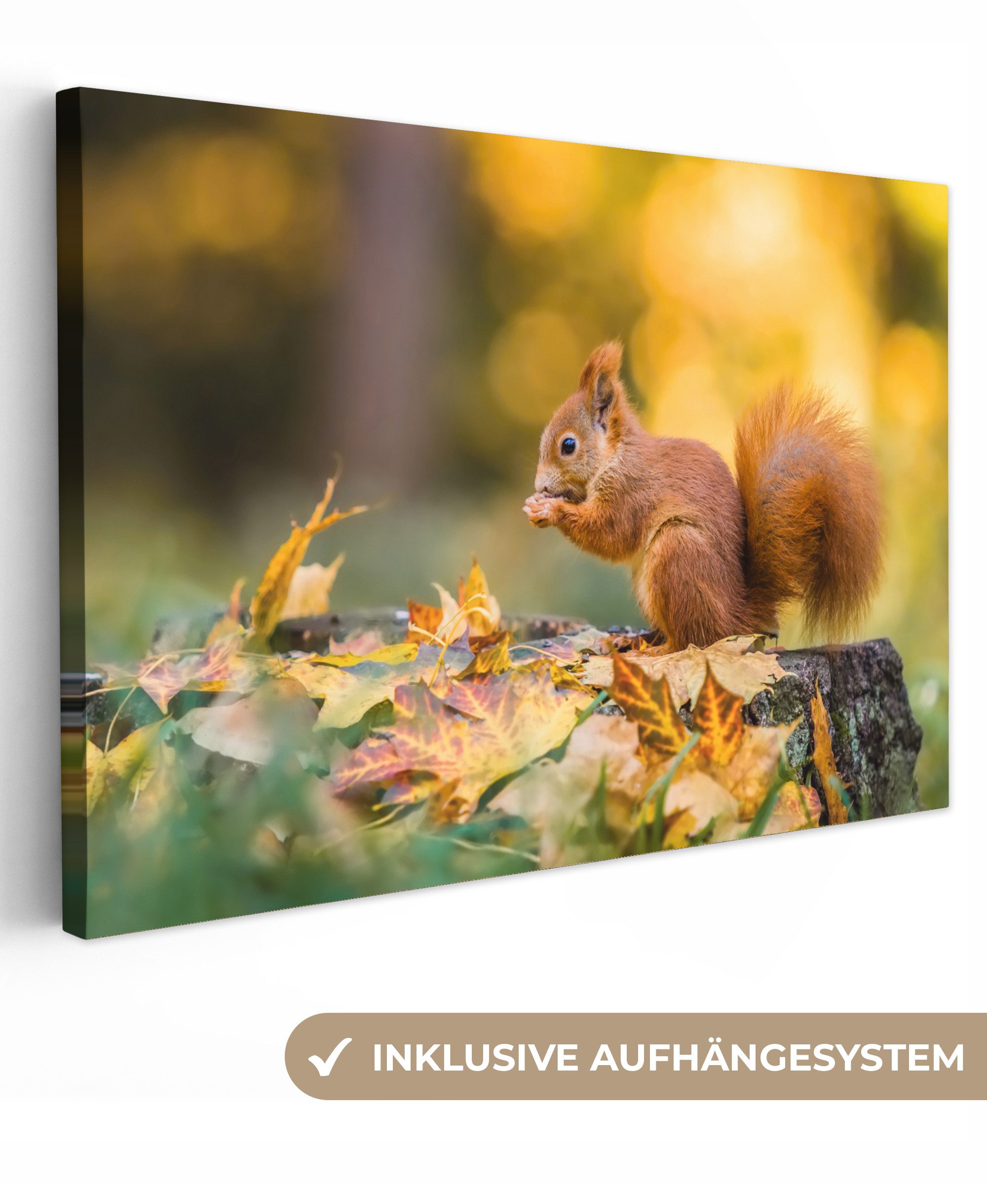 OneMillionCanvasses® Leinwandbild Eichhörnchen - Herbst - Tiere - Herbstliche Blätter - Wald, Fotodruck (1 St), Leinwand Bilder Klein, Wand Dekoration Aesthetic 30x20 cm