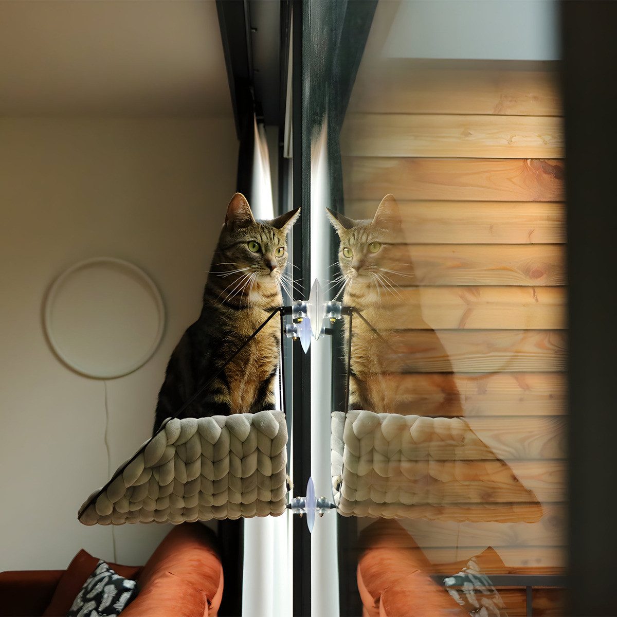 D&D Katzen-Hängematte Sofia Fensterbett hellgrau günstig online kaufen