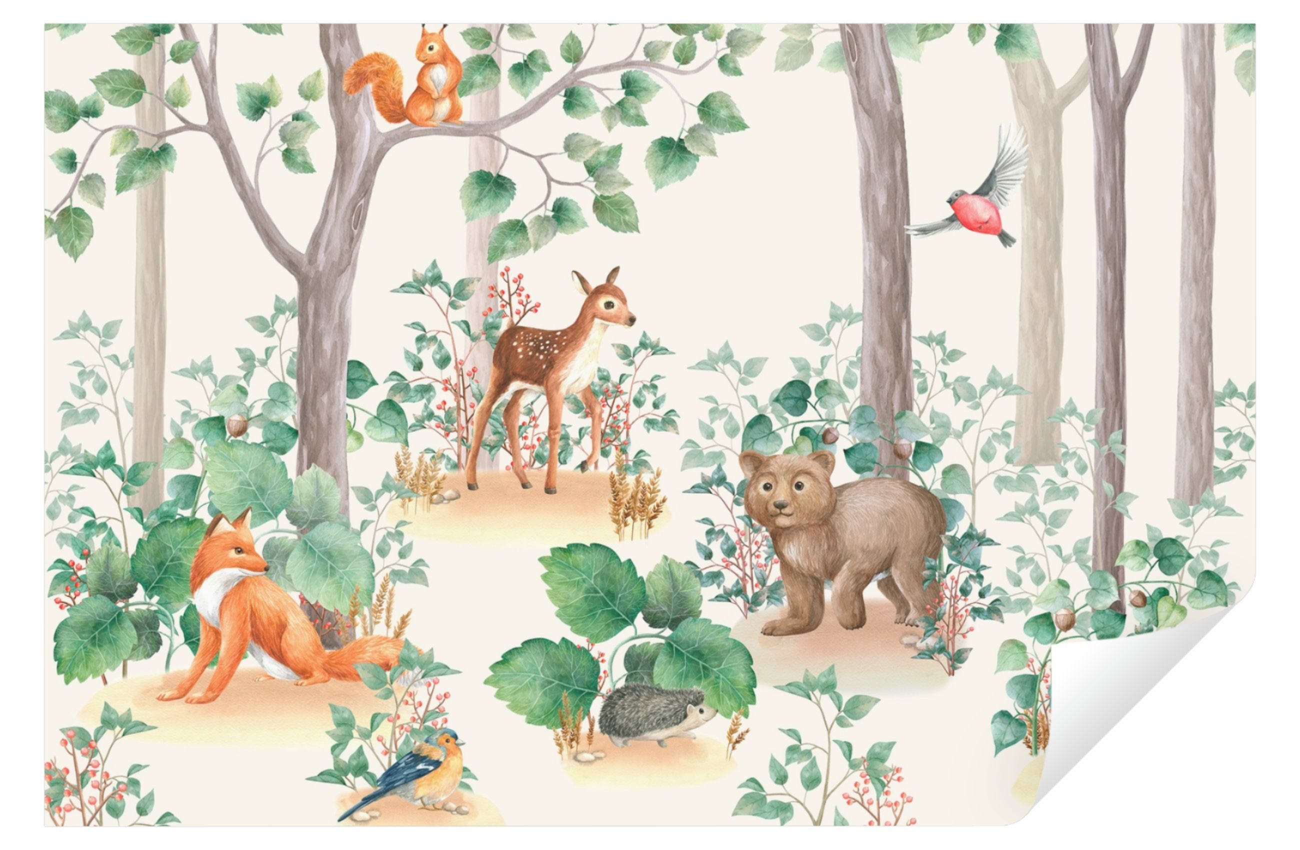 Wallarena Fototapete Kinderzimmer Jungen Mädchen Wald günstig online kaufen