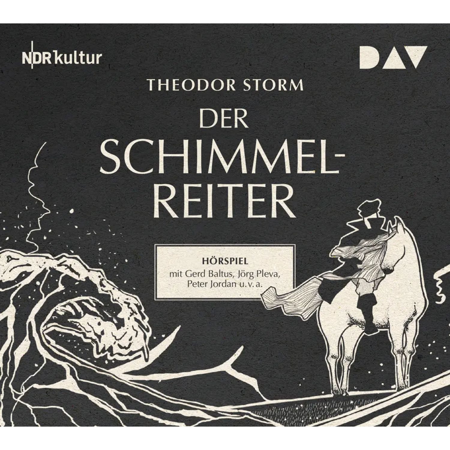 Hörspiel Der Schimmelreiter,1 Audio-CD