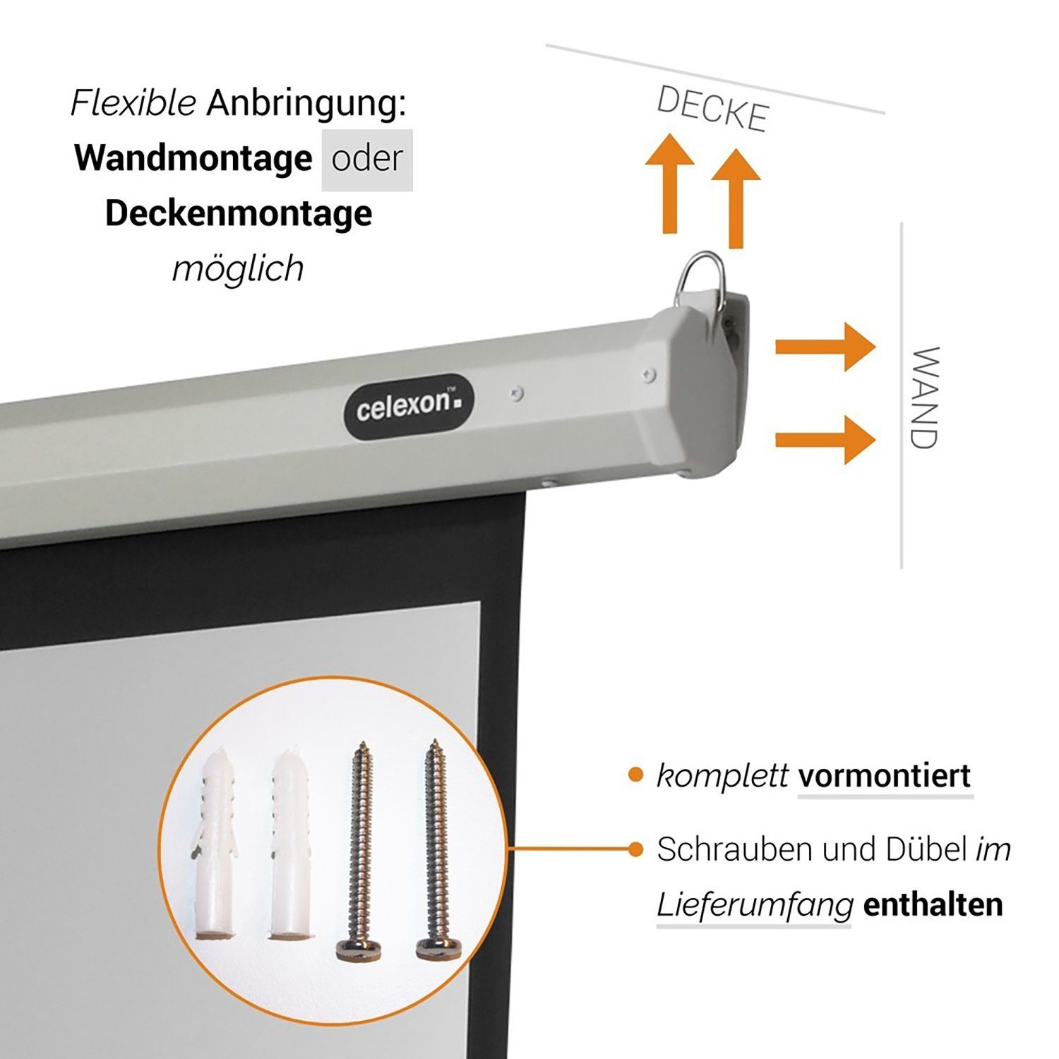 1,2) 4:3, (214 Economy x Gain 161cm, Celexon Motorleinwand