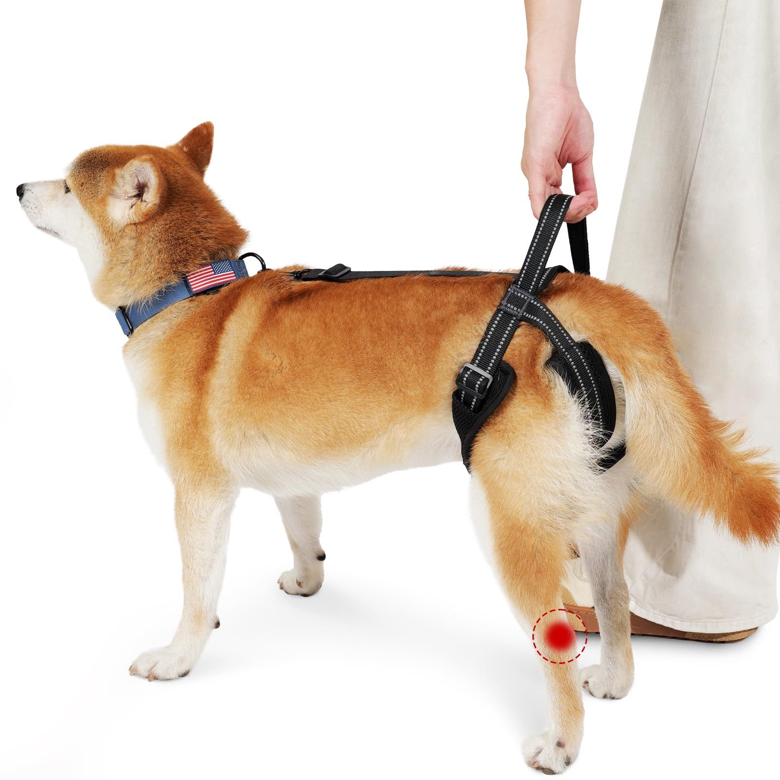 Ledander Stützbandage Hundegeschirr mit Hinterbeinstütze, reflektierendes Hundegeschirr, Hinterbeinstütze, Gelenkverletzungen, Arthritis, ACL-Rehabilitation