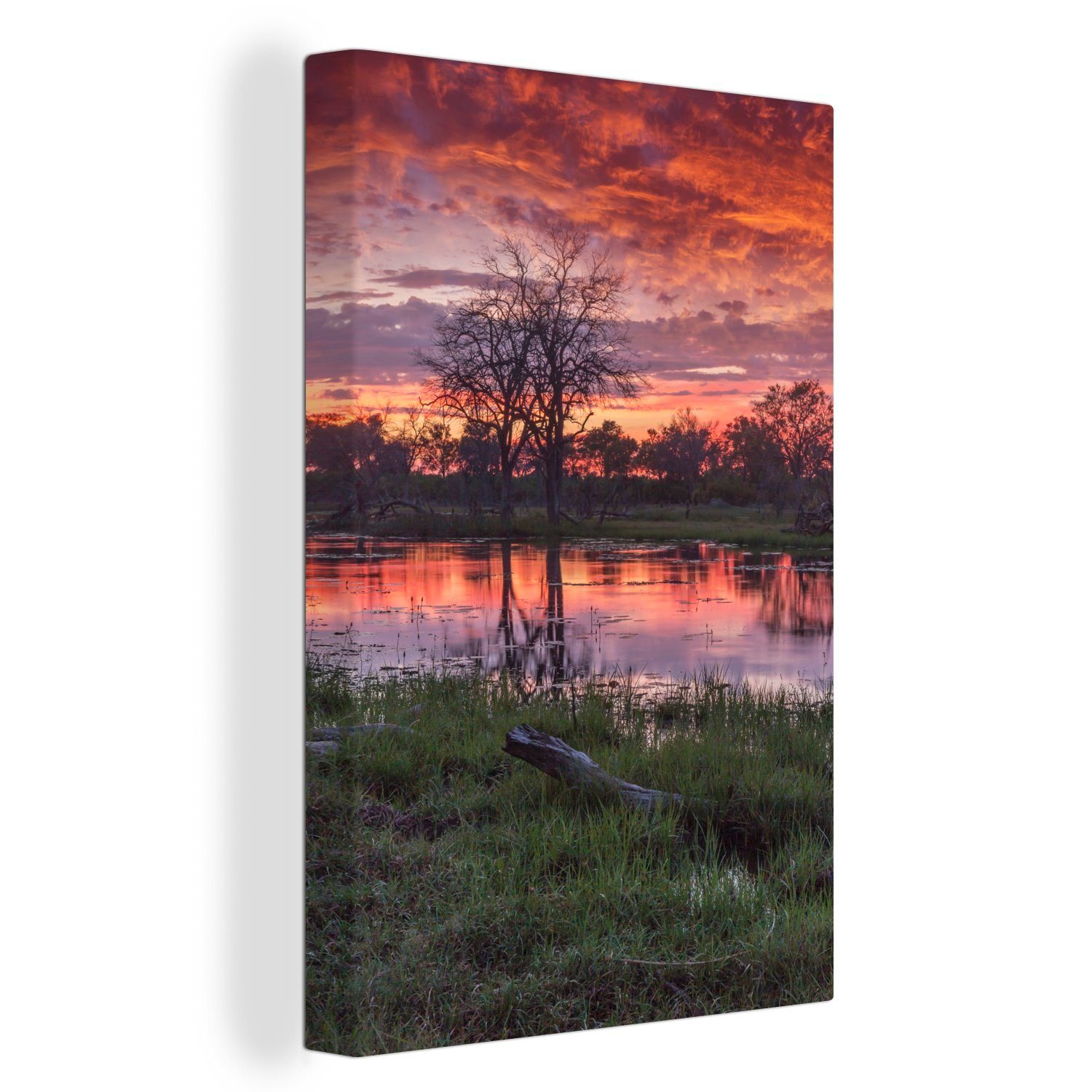inkl. fertig St), Gemälde, Leinwandbild in im Chobe-Nationalpark, Abenddämmerung (1 Leinwandbild Zackenaufhänger, cm 20x30 bespannt und der Sumpf Bäume OneMillionCanvasses®