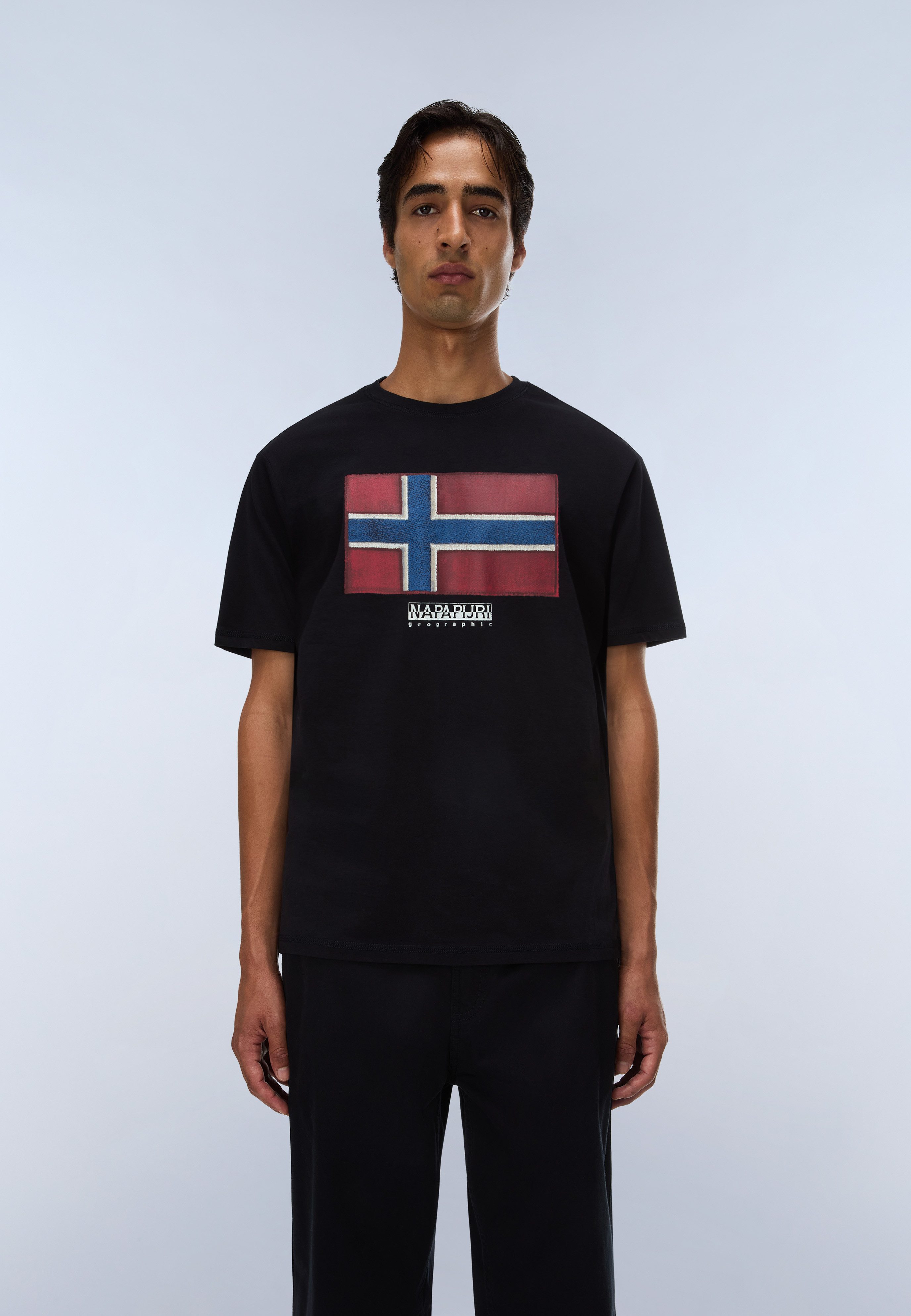 Napapijri T-Shirt S-FLAG TIKI SS BLACK BEAUTY mit Rundhalsausschnitt, T-Shirt-Schnitt, aus Baumwolle, normale Länge