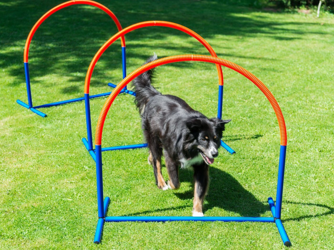 Thumbnail - Procyon Agility-Slalom Hoopers für Agility Training, Kunststoff, (2-tlg) einfacher Aufbau