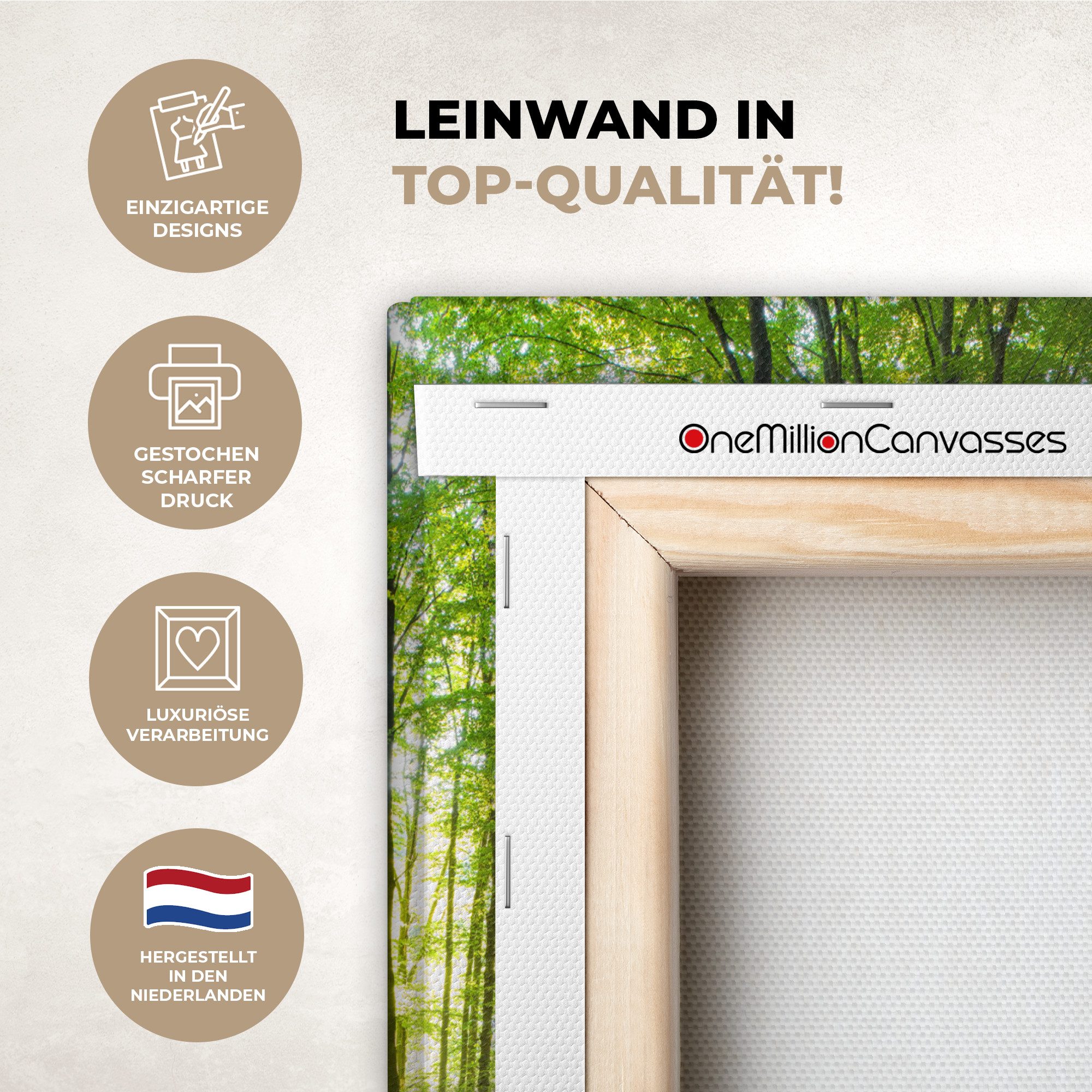 OneMillionCanvasses® Leinwandbild Natur - Bäume - Wald - Grün - Sonnenlicht, Fotodruck (1 St), Leinwand Canvas Wandbild, Wanddekoration 20x30 cm
