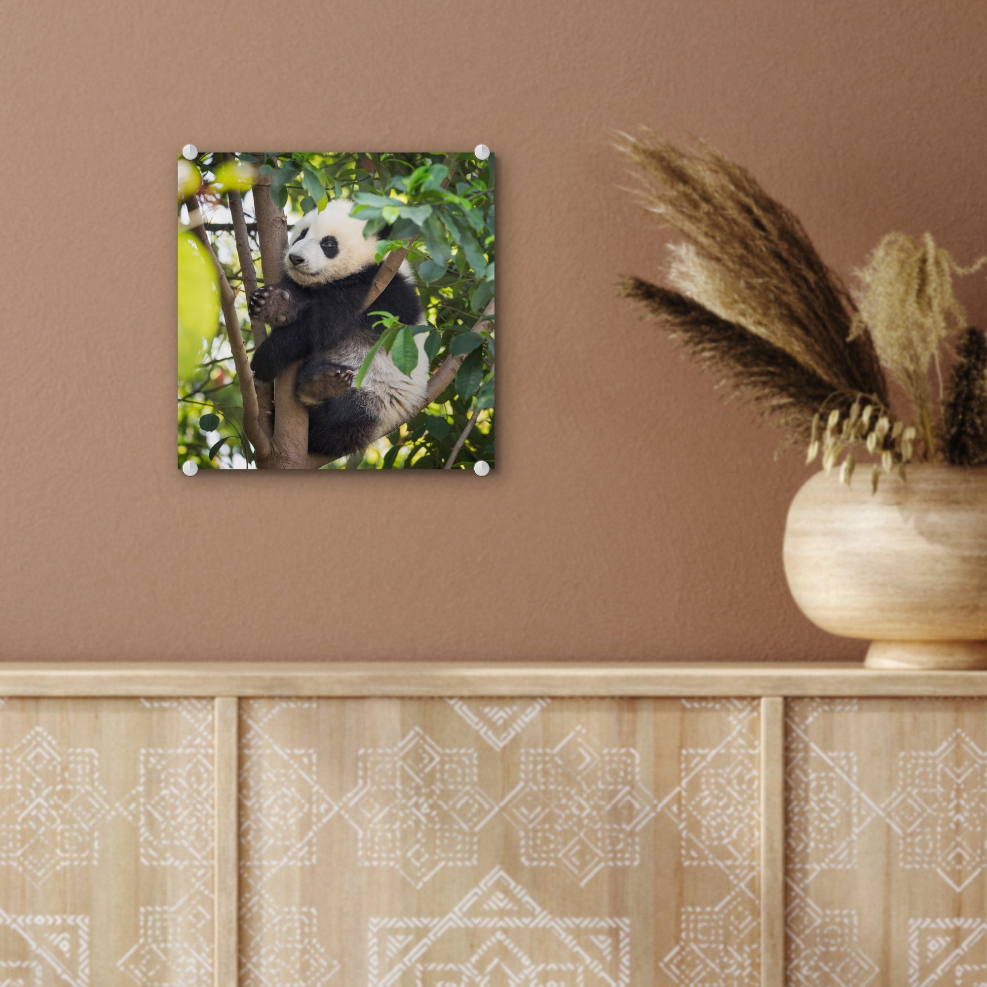 Glas - Foto auf Wandbild MuchoWow Glas - Baum, Tier Panda St), - Acrylglasbild Wanddekoration Glasbilder - Bilder (1 - auf