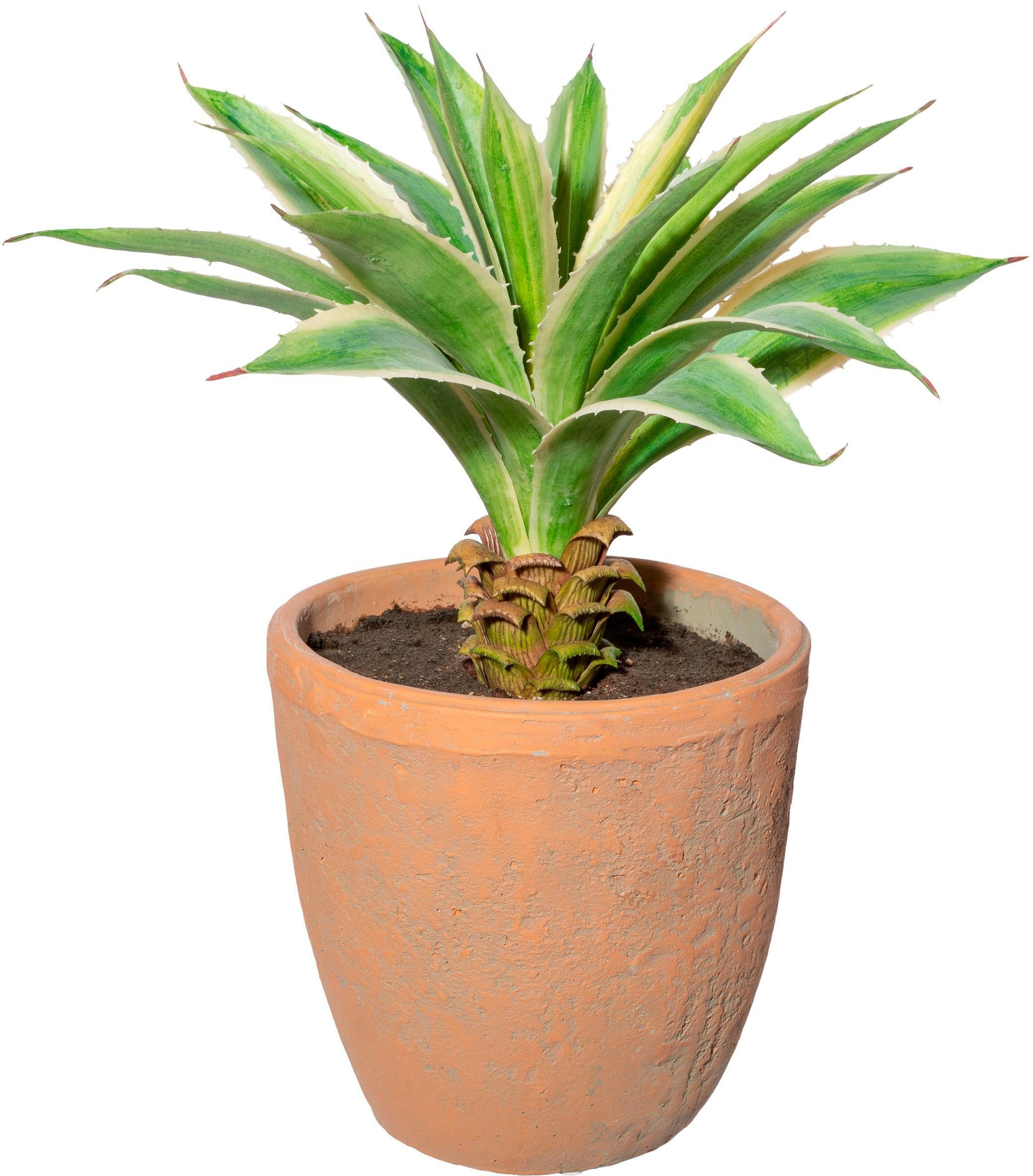 Künstliche Zimmerpflanze Agave im Terracottatopf