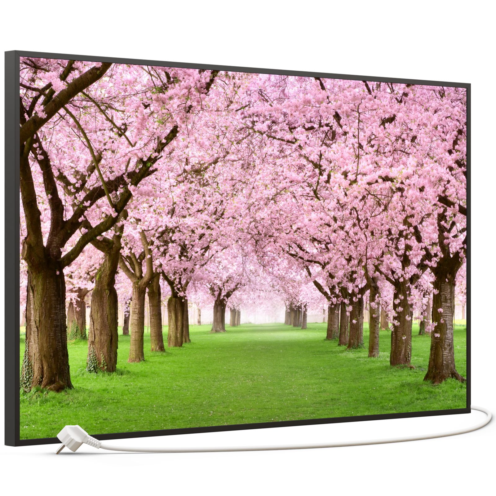 STEINFELD Heizsysteme Infrarotheizung Bild 600W, 100x60cm, Made in Germany, 7J Garantie, mit Thermostat, viele Motive