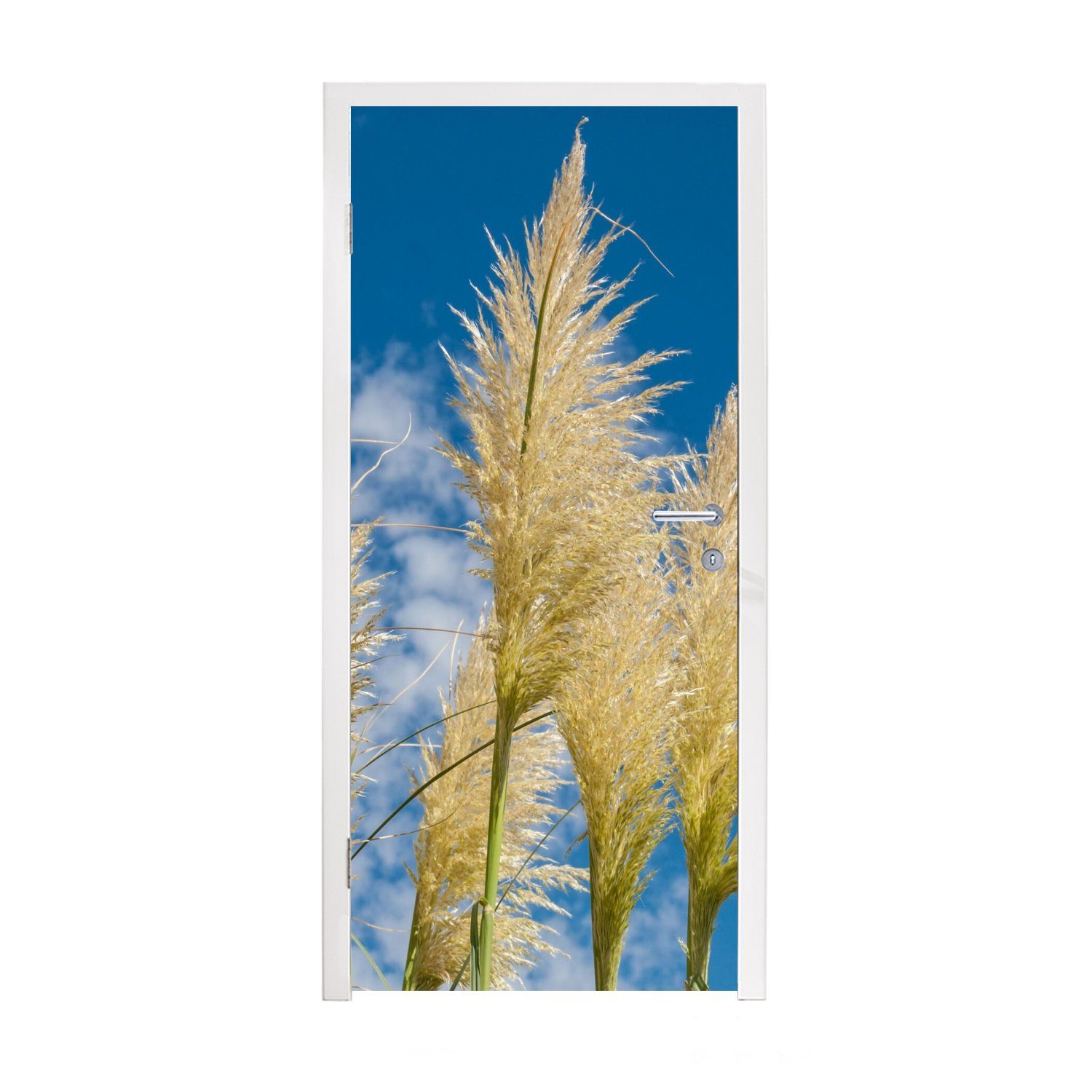 MuchoWow Türtapete Pflanzen - Pampasgras - Luft, Matt, bedruckt, (1 St), Fototapete für Tür, Türaufkleber, 75x205 cm | Türtapeten