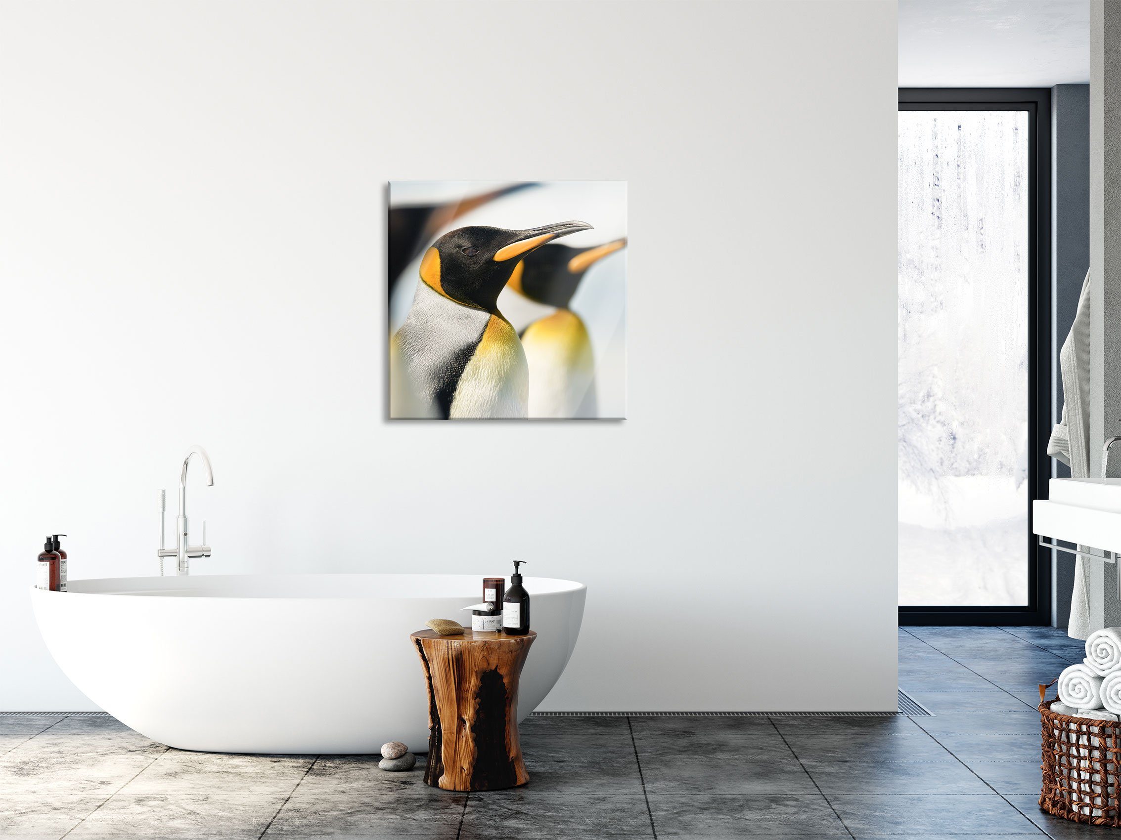 Abstandshalter aus St), Pinguine, und Pixxprint Glasbild Pinguine inkl. Echtglas, Aufhängungen (1 Glasbild