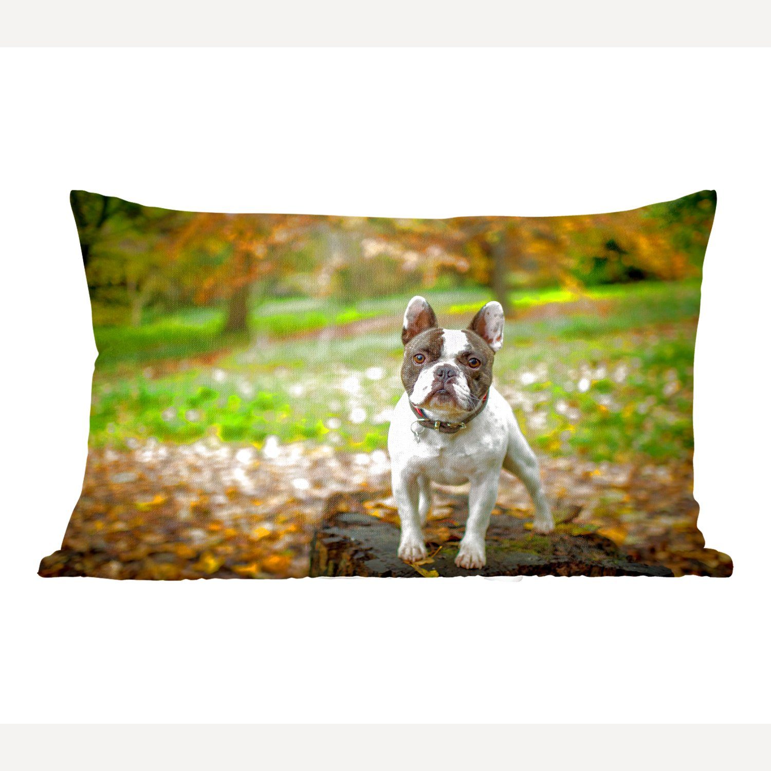 MuchoWow Dekokissen Französische Bulldogge - Herbst - Baumstamm, Wohzimmer Dekoration, Zierkissen, Dekokissen mit Füllung, Schlafzimmer