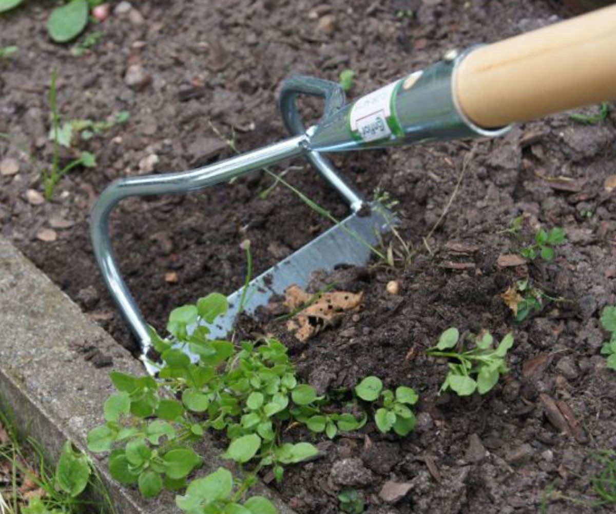 Connex Bügelzughacke Bügelzughacke Zughacke 155 mm günstig online kaufen