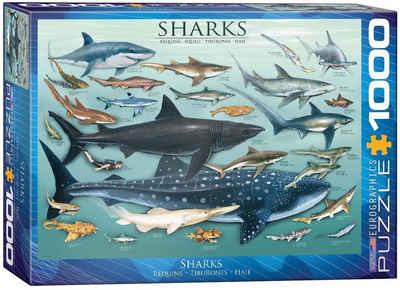 empireposter Puzzle Haie der Ozeane - 1000 Teile Puzzle im Format 68x48 cm, Puzzleteile