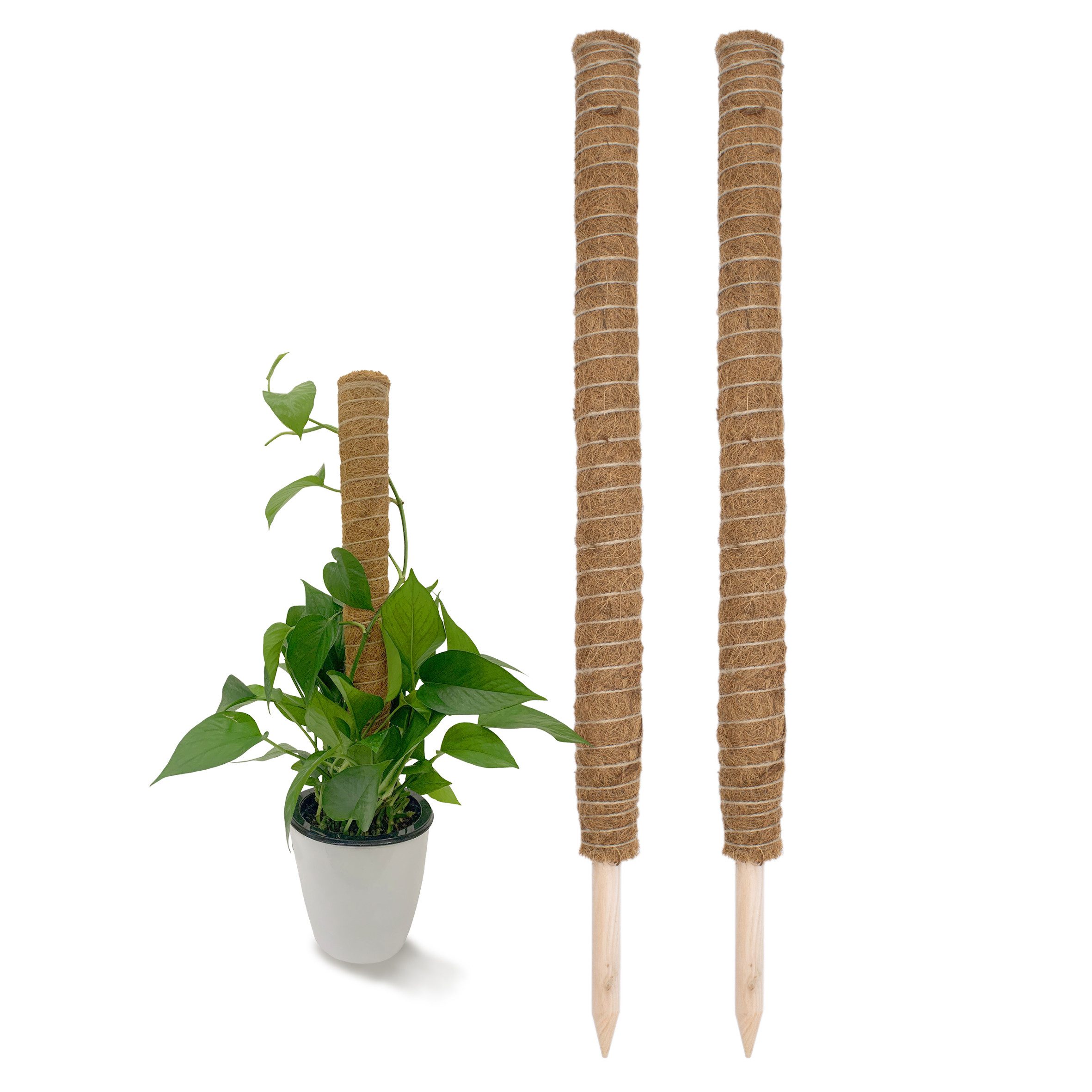 Spetebo Rankhilfe Kokos Rankstab natur - 2 / 4 Stück - Pflanzstab für Zimmerpflanzen Set, 1 St., Rankstab für Zimmerfplanzen, Holz Rankhilfe aus Kokosfaser