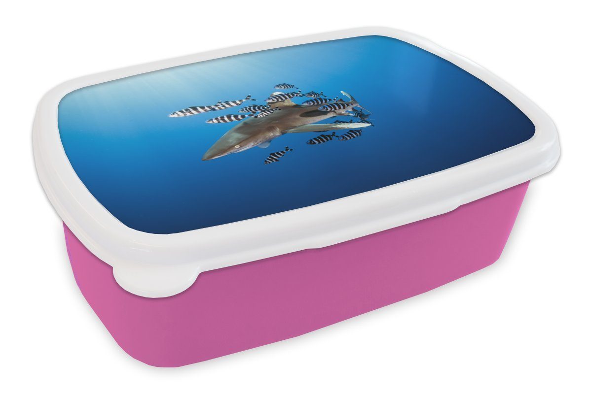 Kunststoff Kunststoff, für Brotbox Brotdose mit Lunchbox (2-tlg), Kinder, MuchoWow rosa Erwachsene, Hai Fisch, Mädchen, Snackbox,