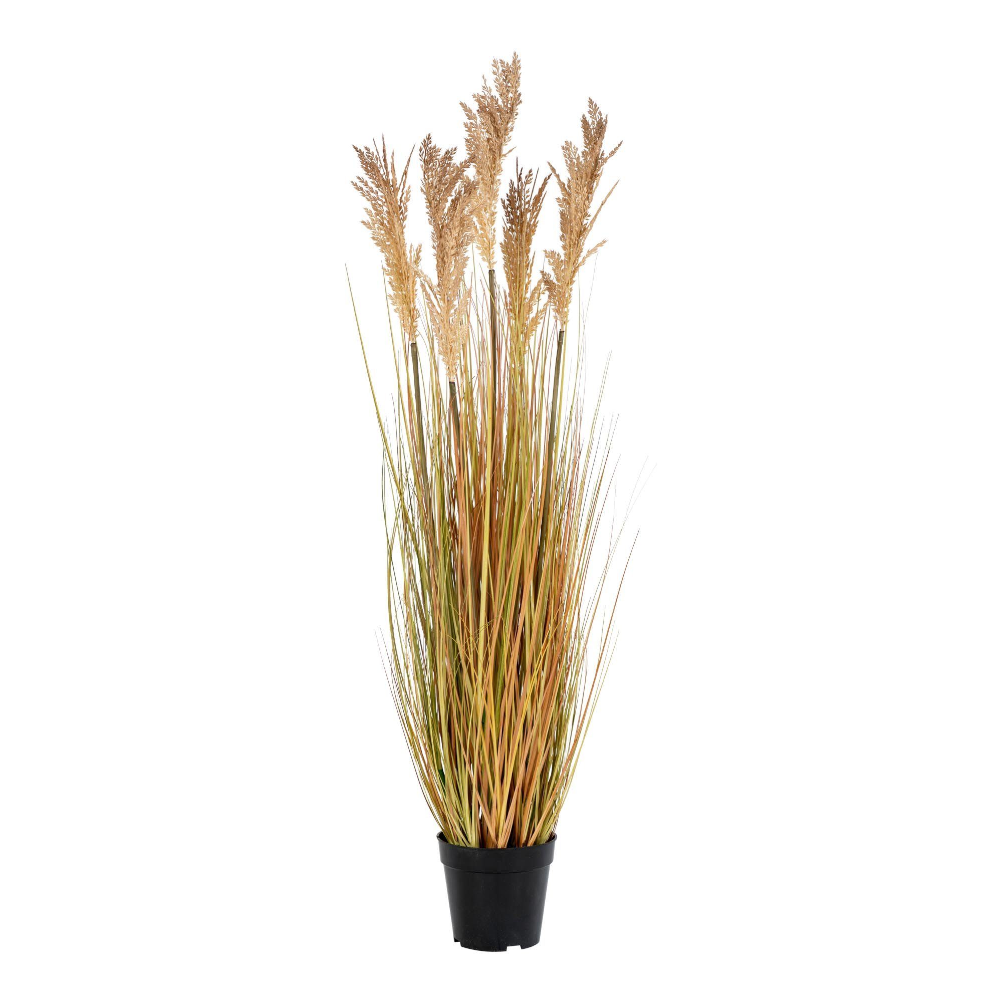 Kunstpflanze Künstliche Pflanze HIRSE Kunstgras ca. H110cm Sudangras, LebensWohnArt
