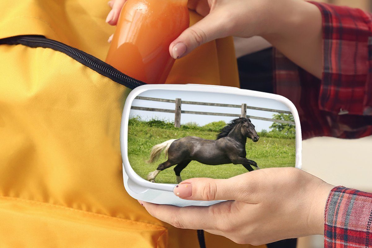 und - Lunchbox Kunststoff, Gras - Brotbox weiß für Kinder und Brotdose, Erwachsene, für Mädchen MuchoWow Pferde Jungs (2-tlg), Zaun,