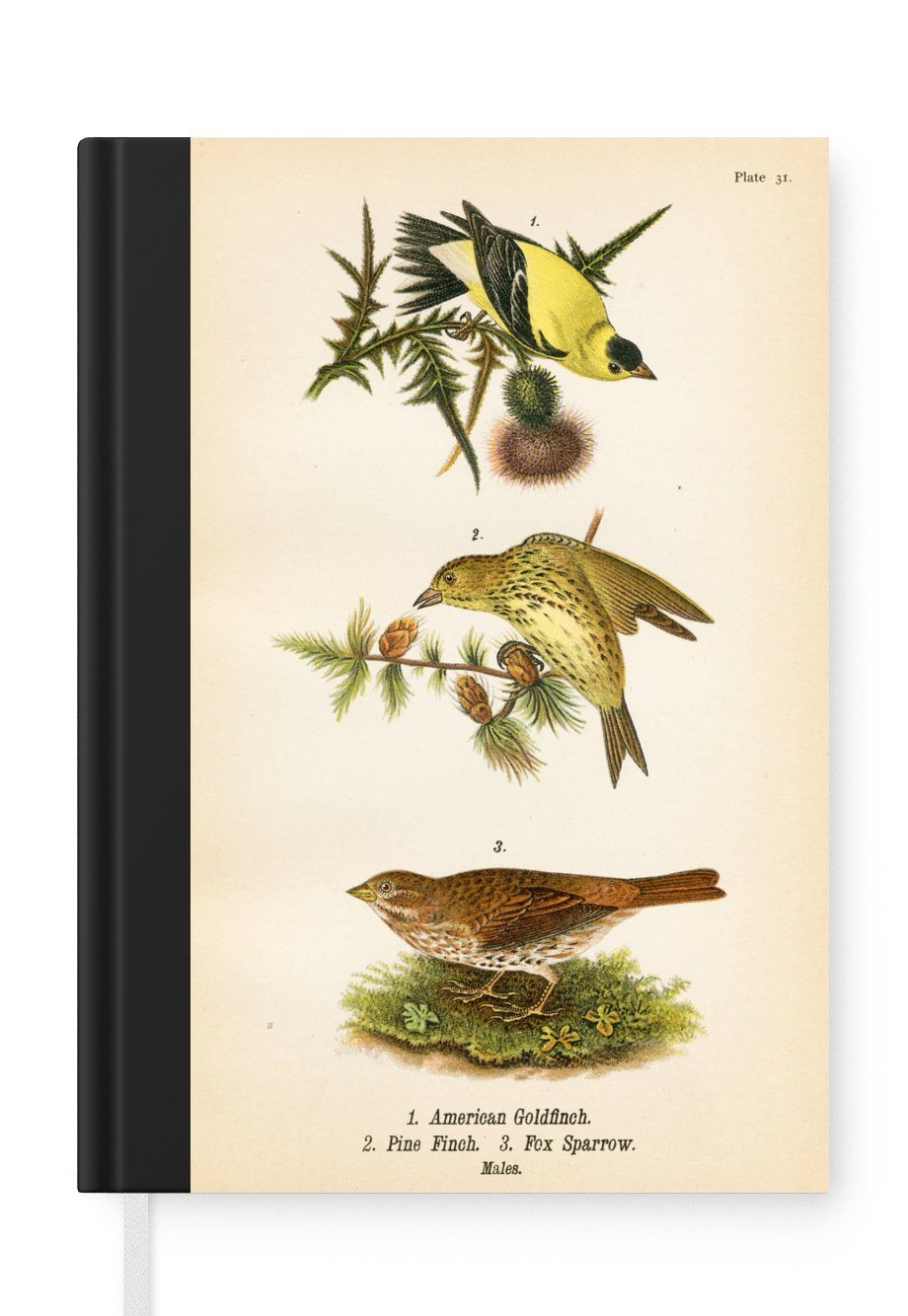 MuchoWow Notizbuch Antiker Vogeldruck, Journal, Merkzettel, Tagebuch, Notizheft, A5, 98 Seiten, Haushaltsbuch
