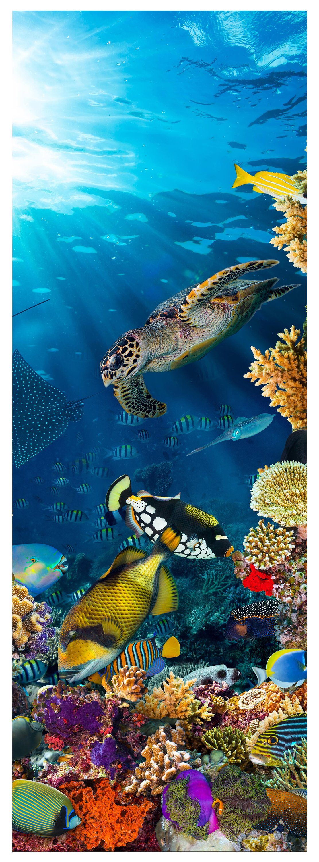 wandmotiv24 Türtapete Unterwasser Meer Korallen Fische, glatt, Fototapete, Wandtapete, Motivtapete, matt, selbstklebende Dekorfolie