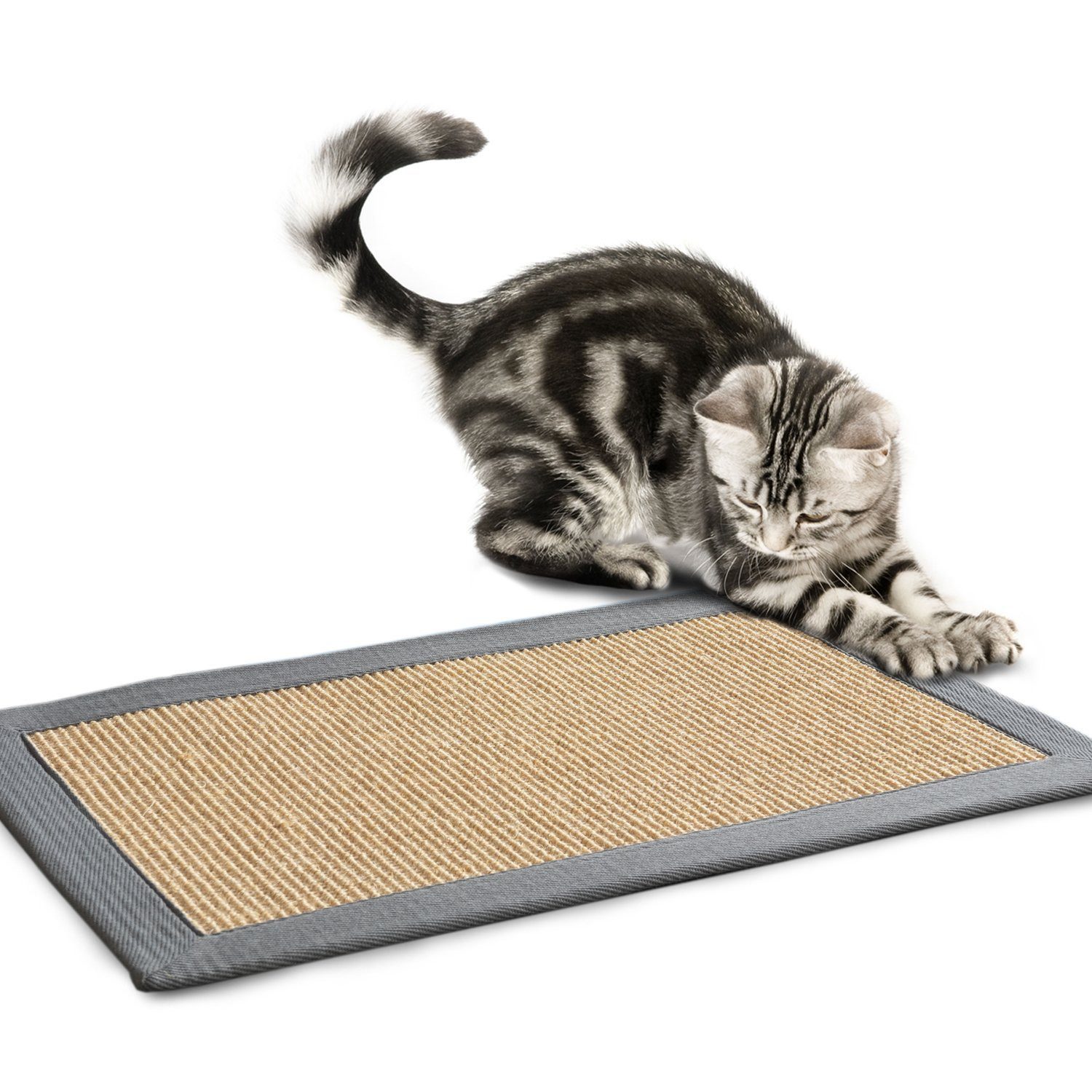 Karat Kratzbrett Kratzteppich für Katzen, Spielteppich, Krallen, verschiedene Bordürenfarben