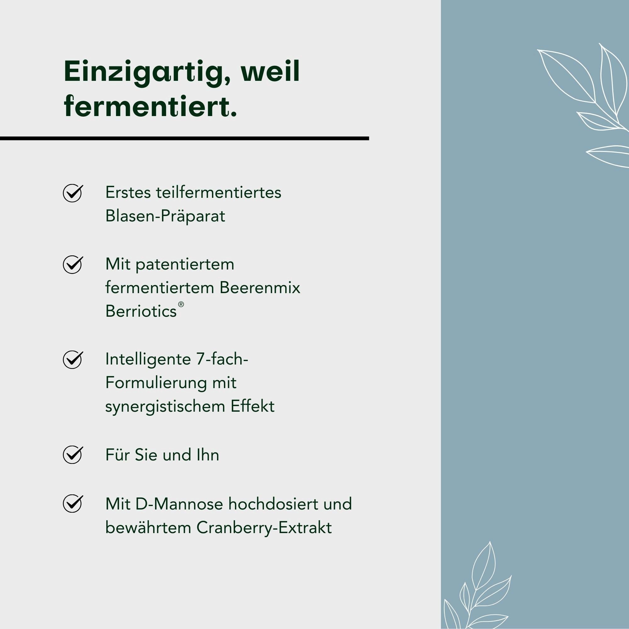 Aura Natura Fermentura Blasenvital mit D-Mannose & Cranberry, Blasenunterstützung Kapseln, 1 er Packung à 60 St., D-Mannose und Cranberry
