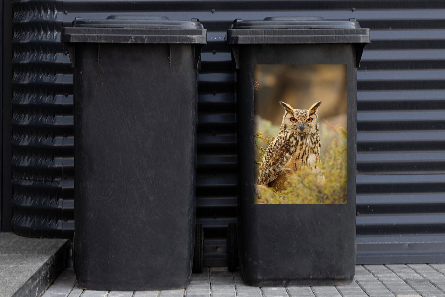 MuchoWow Wandsticker Ein bengalischer St), Mülltonne, inmitten der Sticker, Pflanzen Container, Mülleimer-aufkleber, Abfalbehälter (1 hohen Uhu