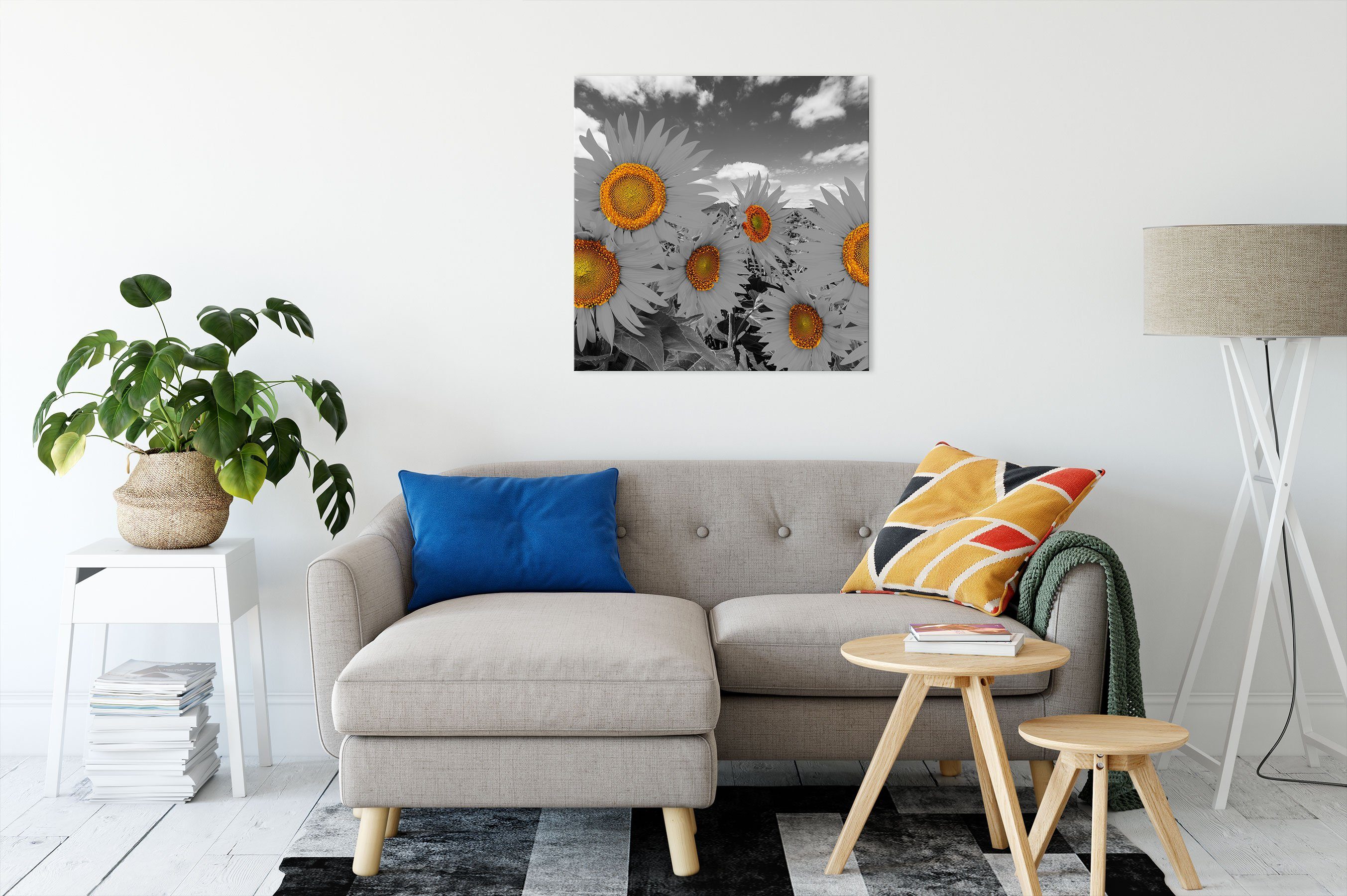 Pixxprint Leinwandbild Tolles Sonnenblumenfeld, inkl. St), Tolles (1 bespannt, Zackenaufhänger fertig Sonnenblumenfeld Leinwandbild