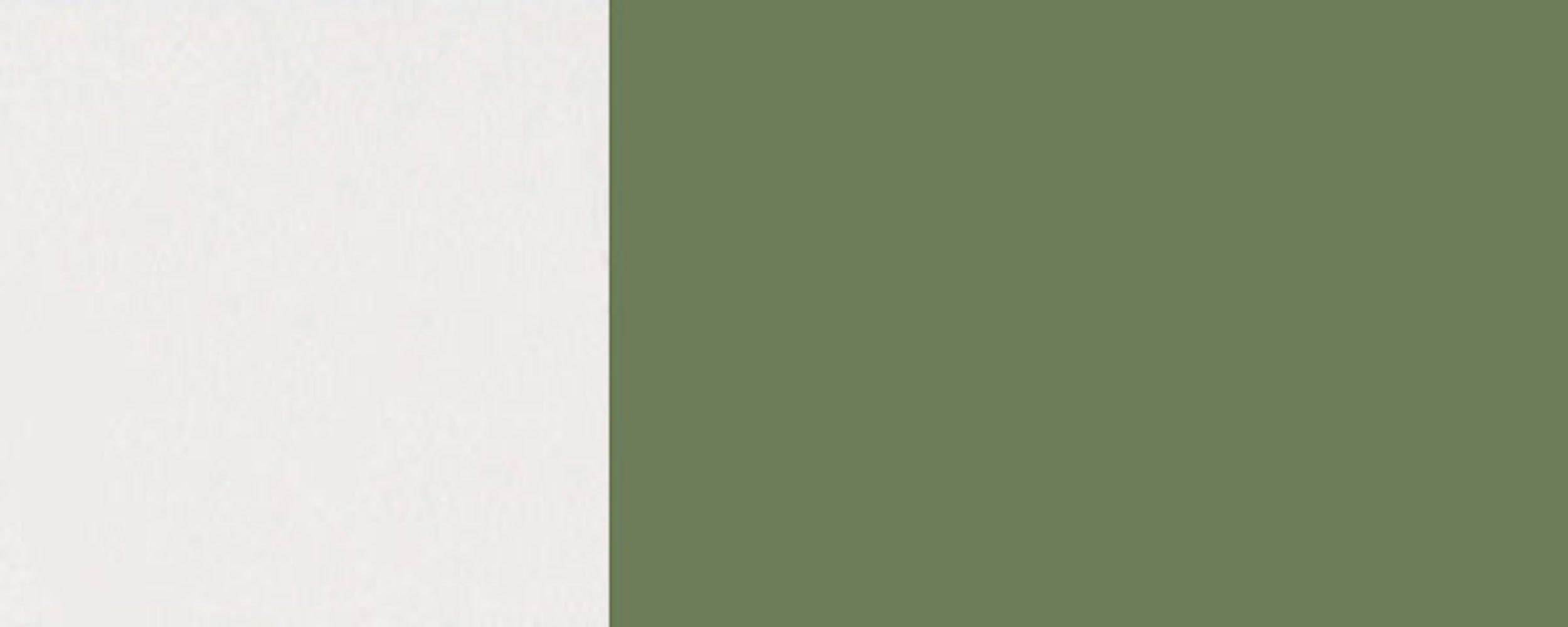 Korpusfarbe Front- (Tivoli) 1-türig wählbar (glasklar) resedagrün 6011 RAL Klapphängeschrank matt & Feldmann-Wohnen Glasfront Tivoli 60cm