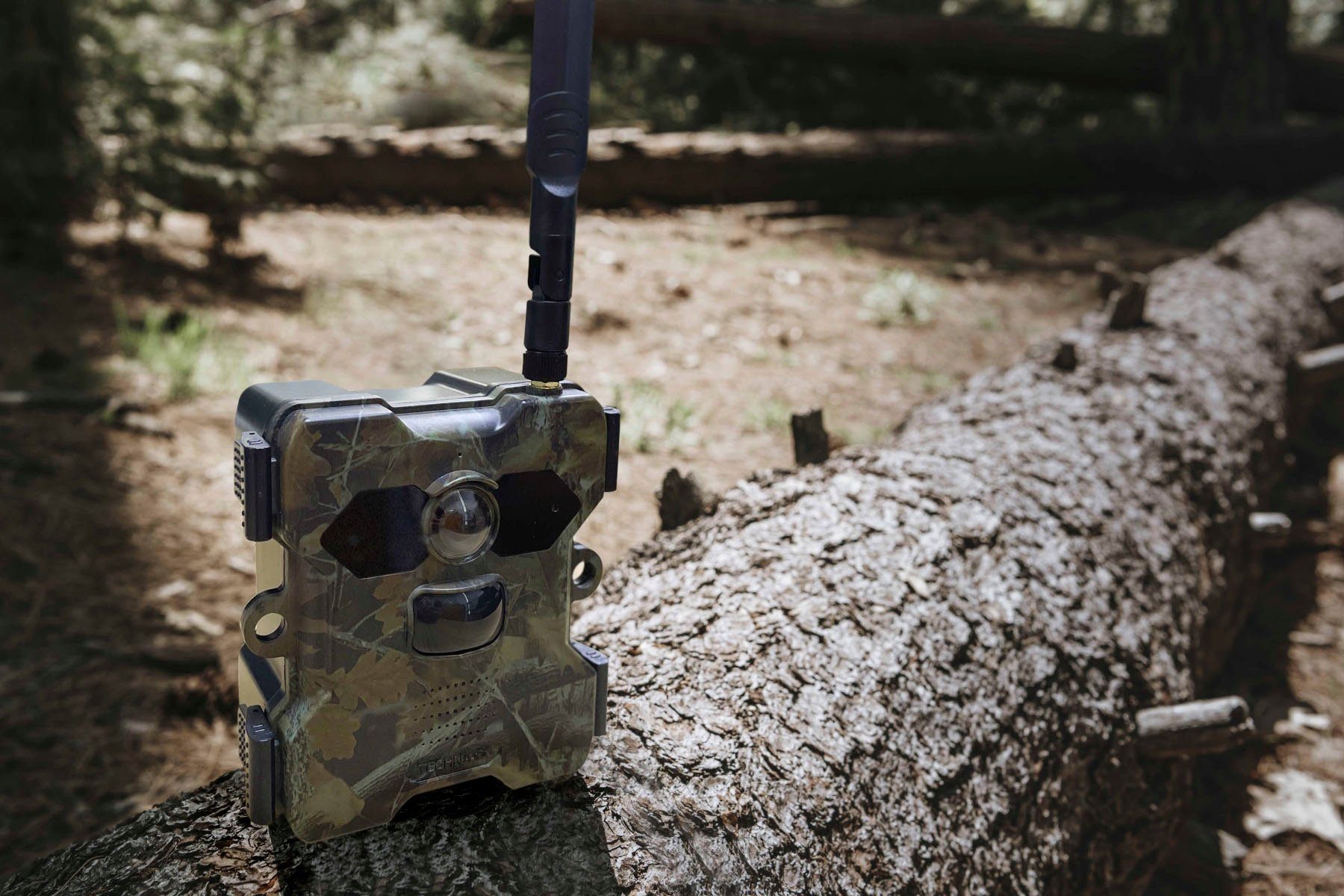 Technaxx Wildkamera 4G Wildcam TX-189 + Solar Panel (Außenbereich)